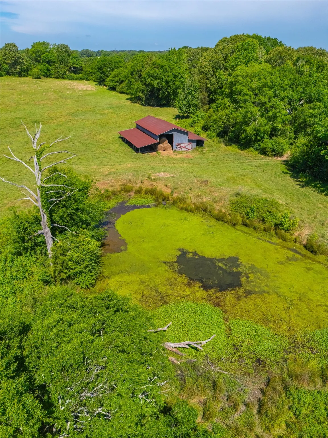 Ranch For Sale in Cass County , 0 County Road 2592, Marietta, Texas 75568, 0, 0, Garage spaces, 0 Sqft, built in 0, mls#21063181, Real Estate Agent in Marietta, Homes For Sale in Cass county, Homes For Sale in Marietta, Realtor in Marietta Texas, Real Estate Brokerage Independent Realty Texas, Luminita Cordes Realtor