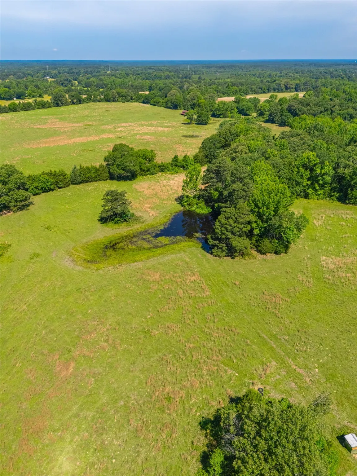 Ranch For Sale in Cass County , 0 County Road 2592, Marietta, Texas 75568, 0, 0, Garage spaces, 0 Sqft, built in 0, mls#21063181, Real Estate Agent in Marietta, Homes For Sale in Cass county, Homes For Sale in Marietta, Realtor in Marietta Texas, Real Estate Brokerage Independent Realty Texas, Luminita Cordes Realtor