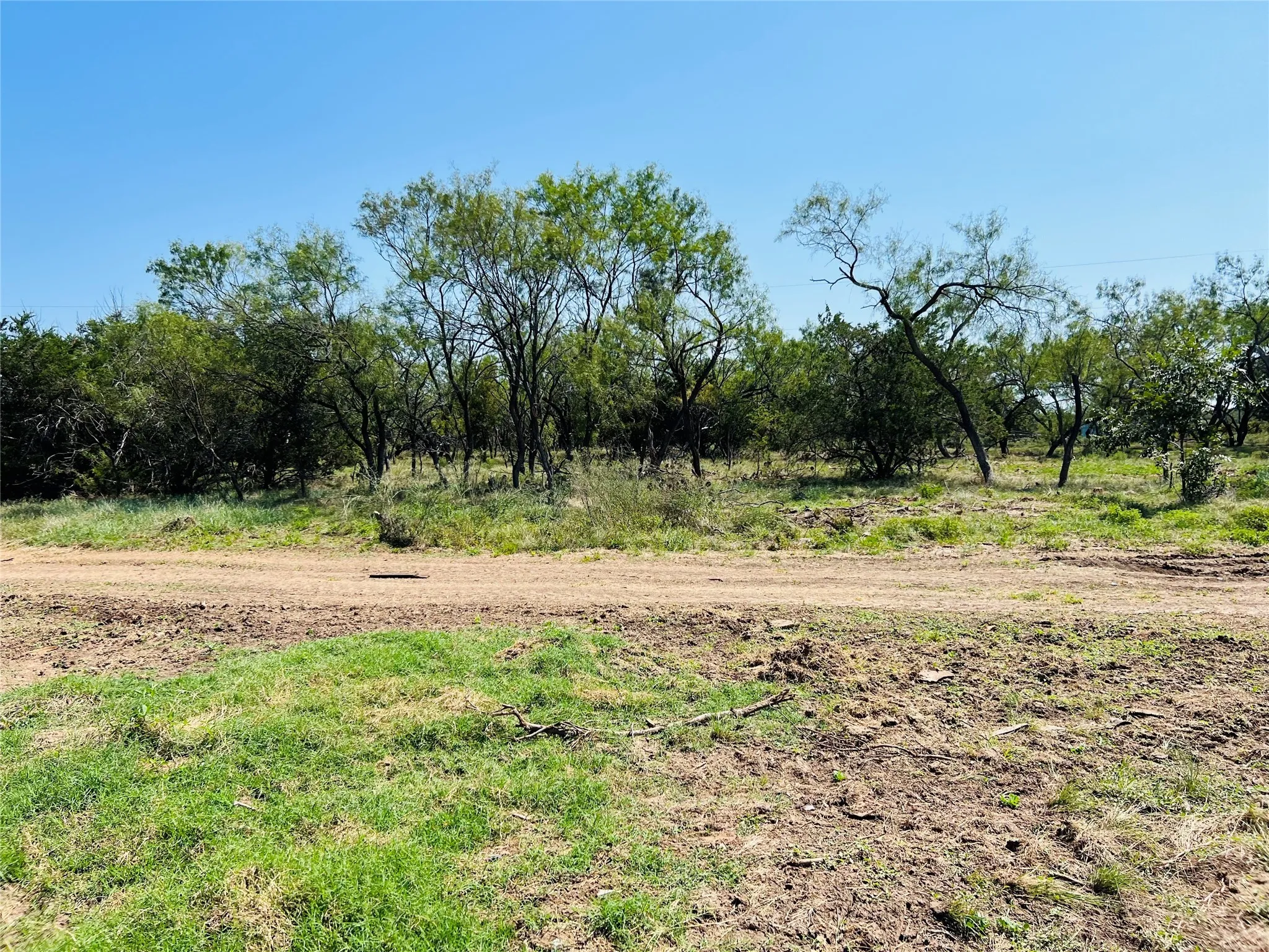 View of local wilderness