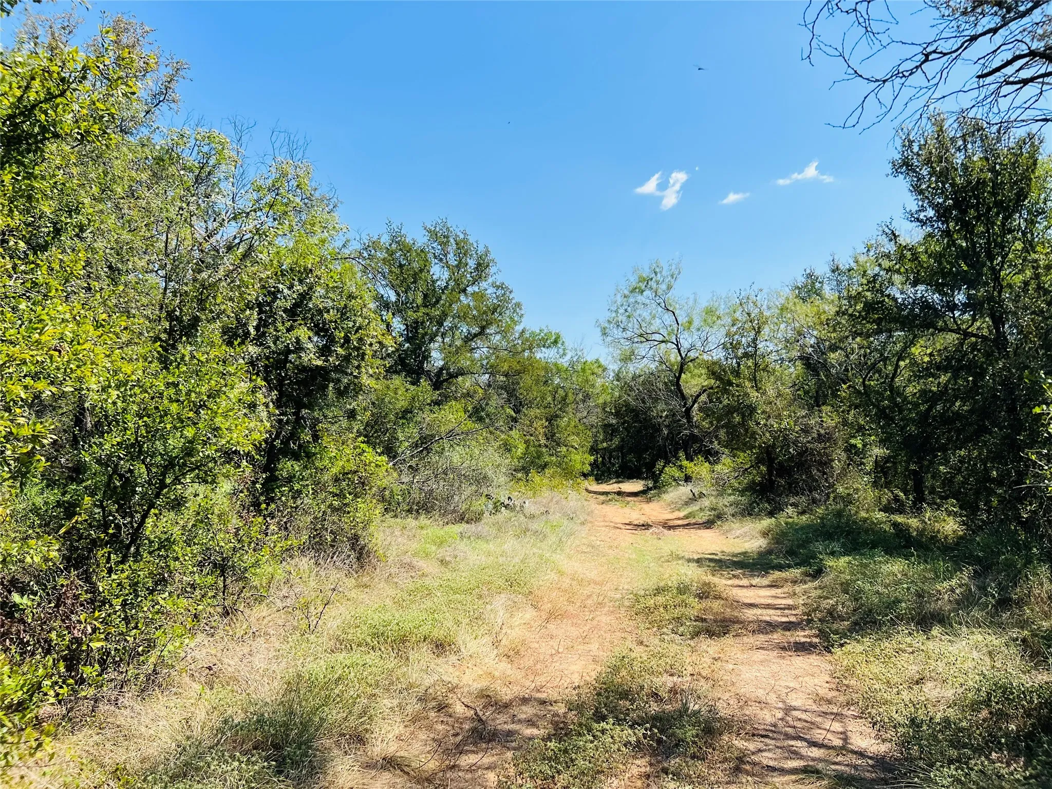 View of wooded area