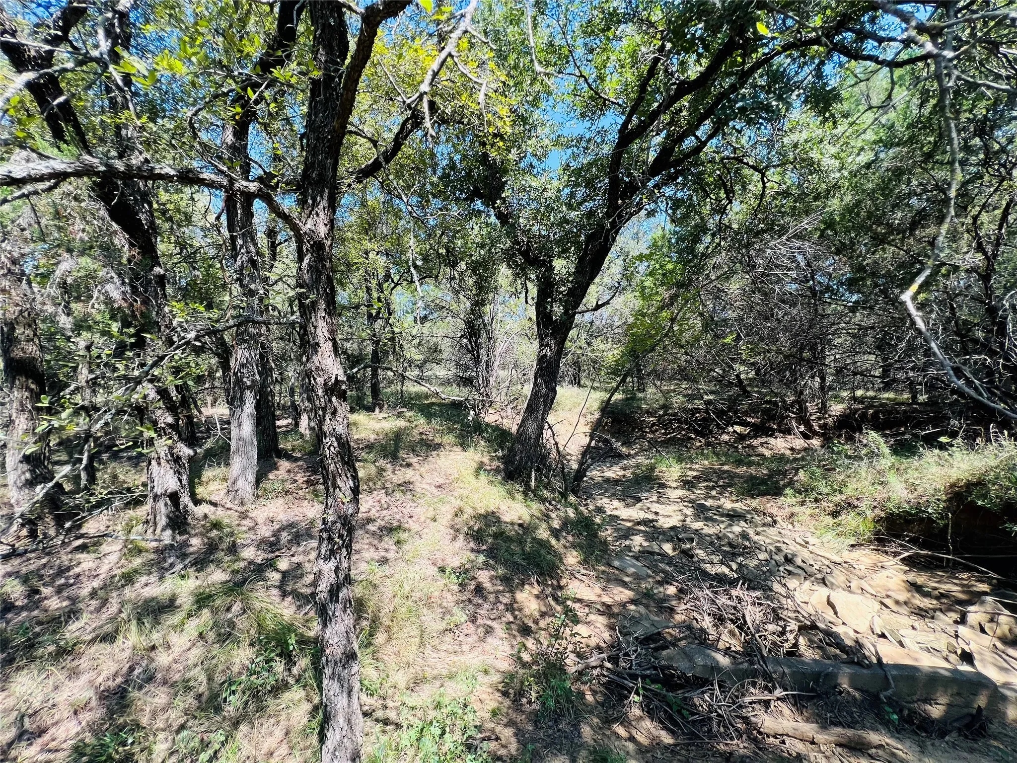 View of undeveloped land