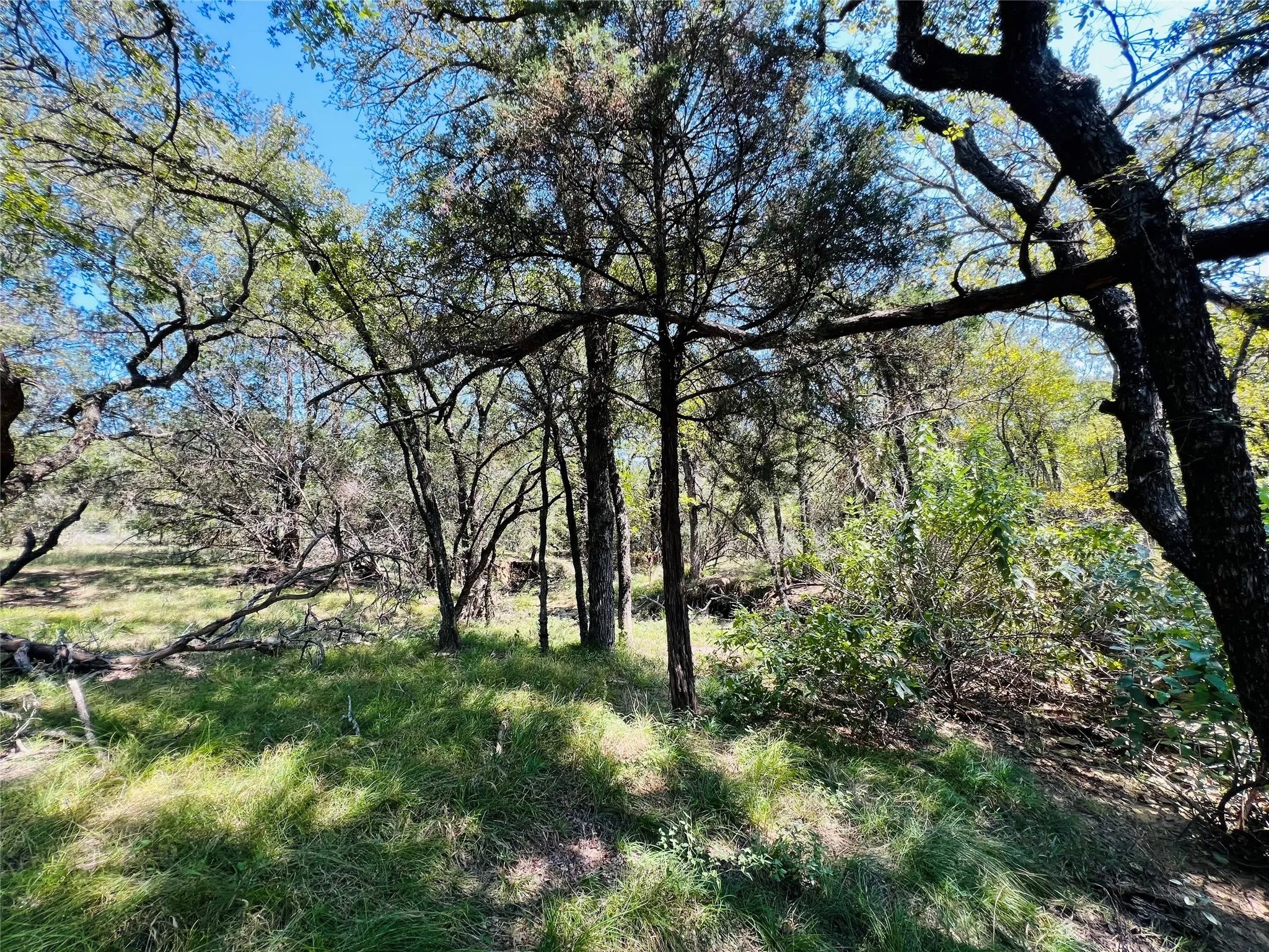 View of undeveloped land