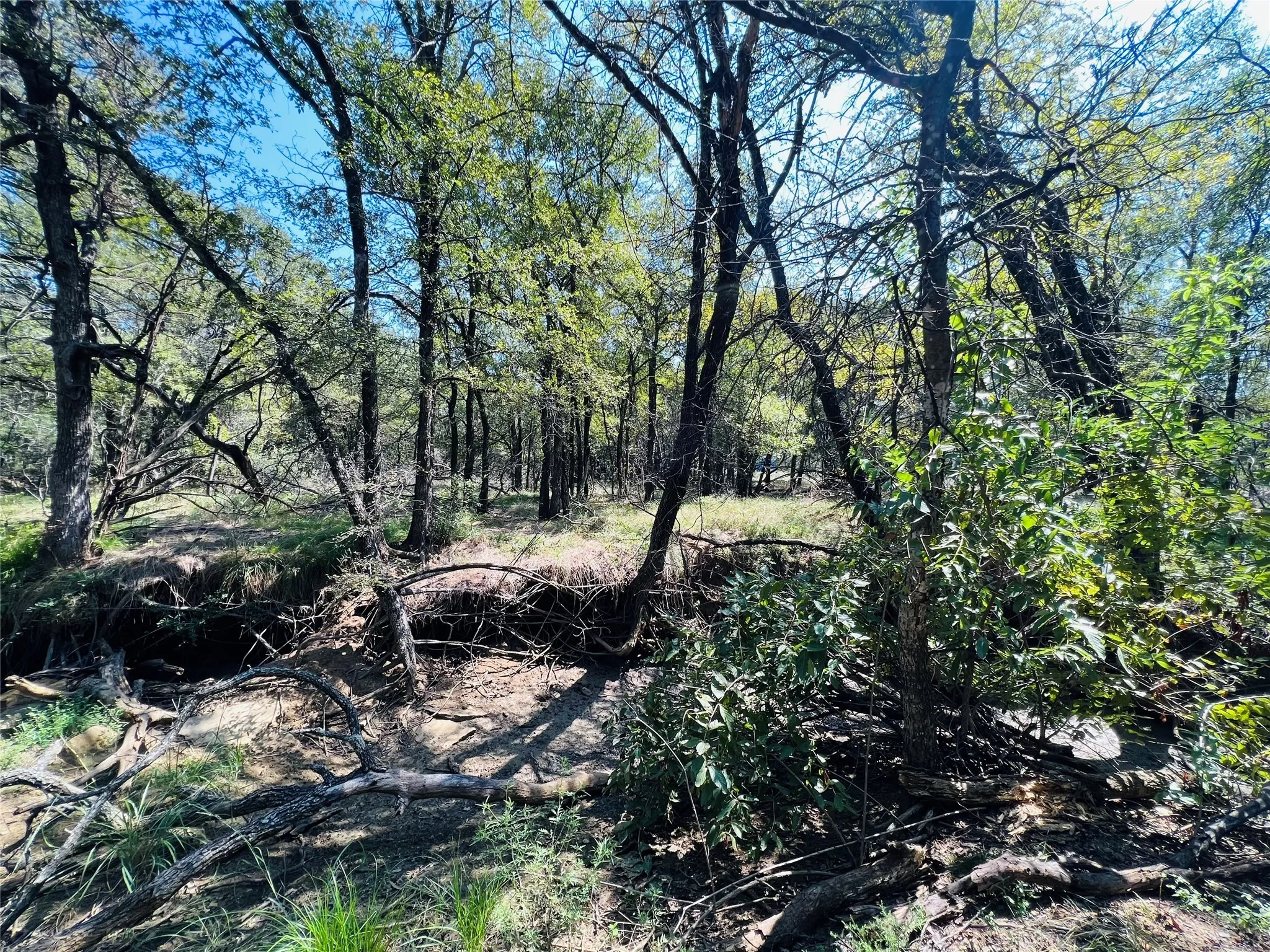 View of nature