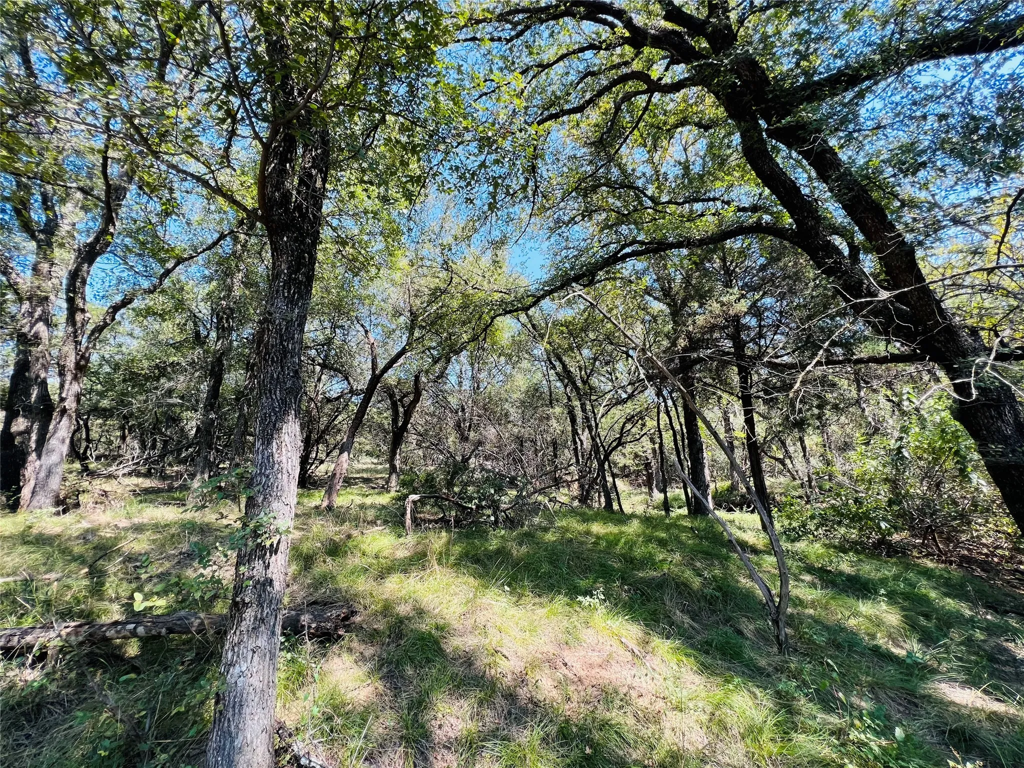 View of nature