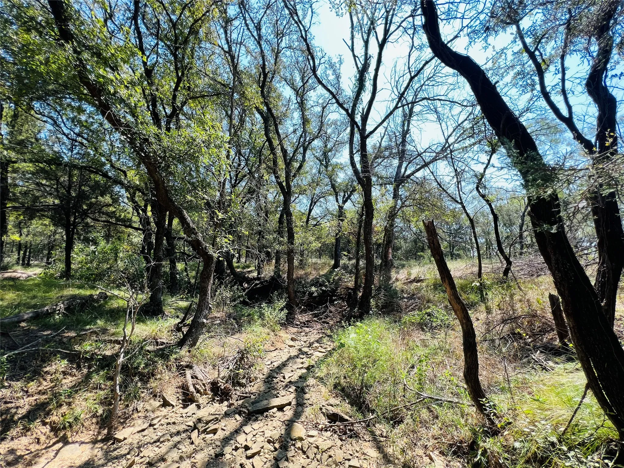 View of undeveloped land