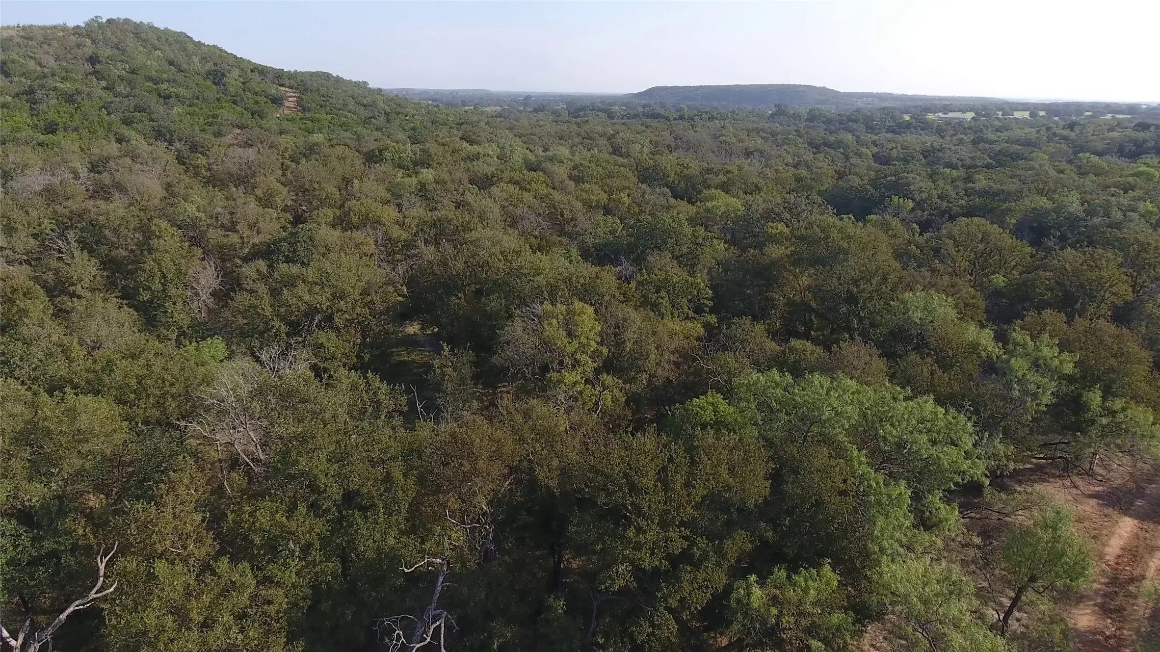 Aerial view of property's location