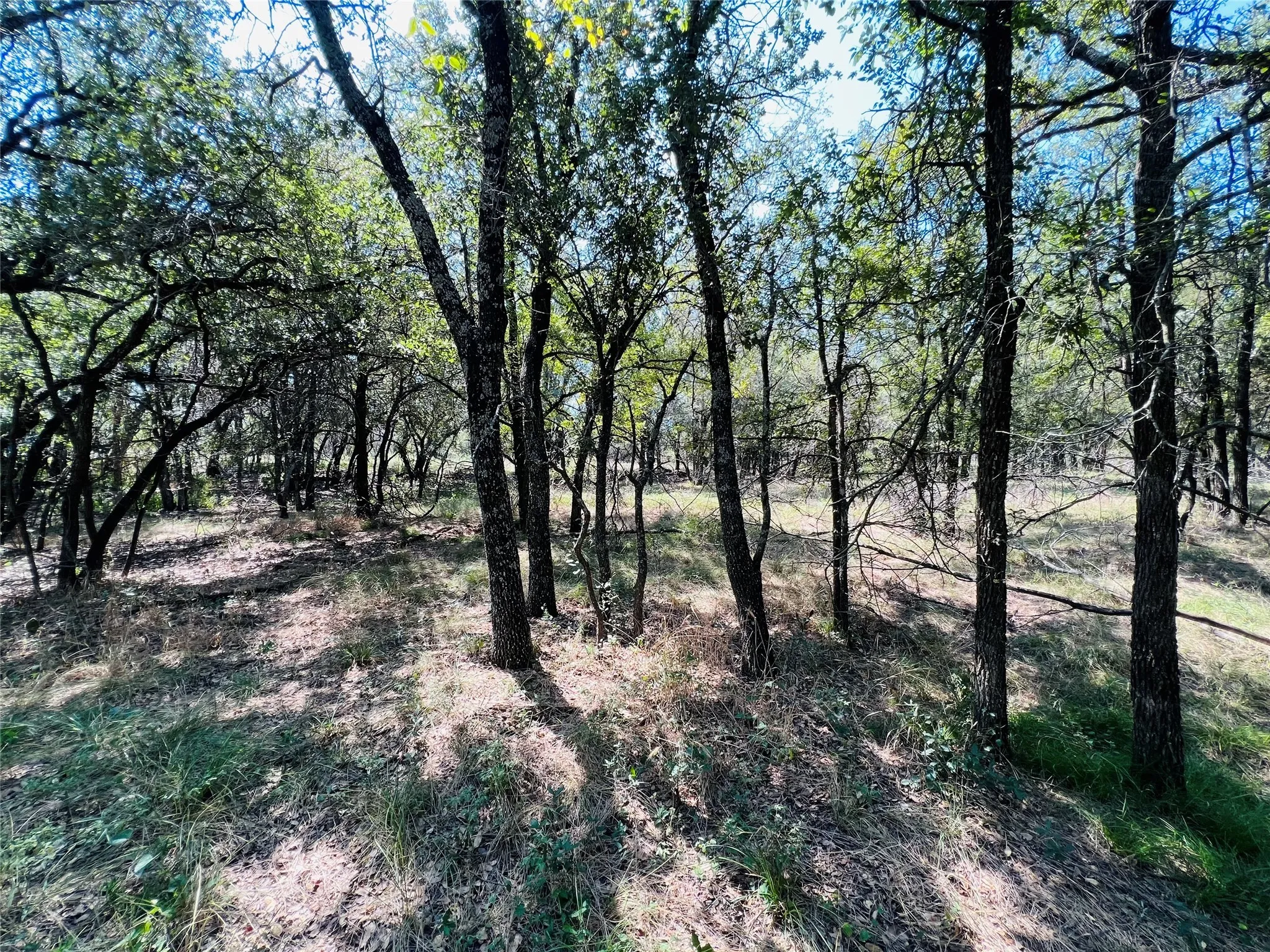View of undeveloped land