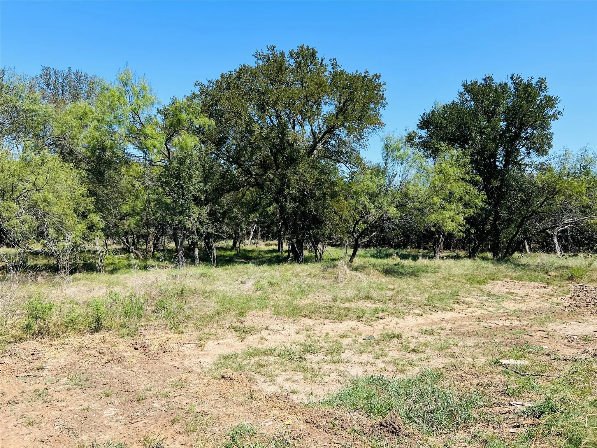 View of undeveloped land