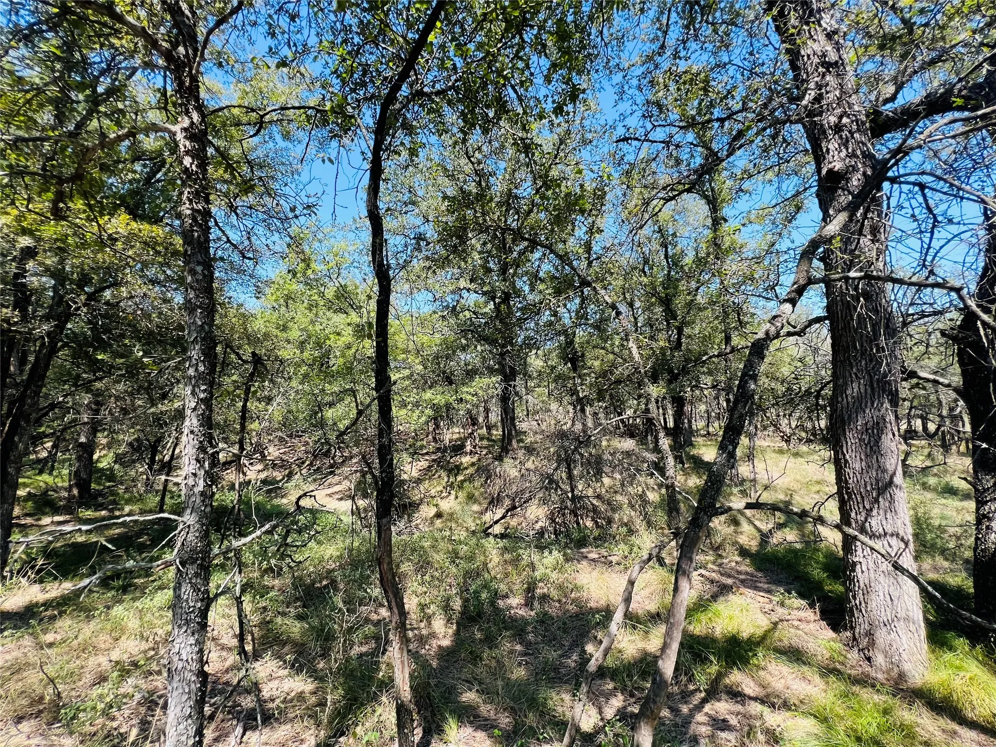 View of undeveloped land