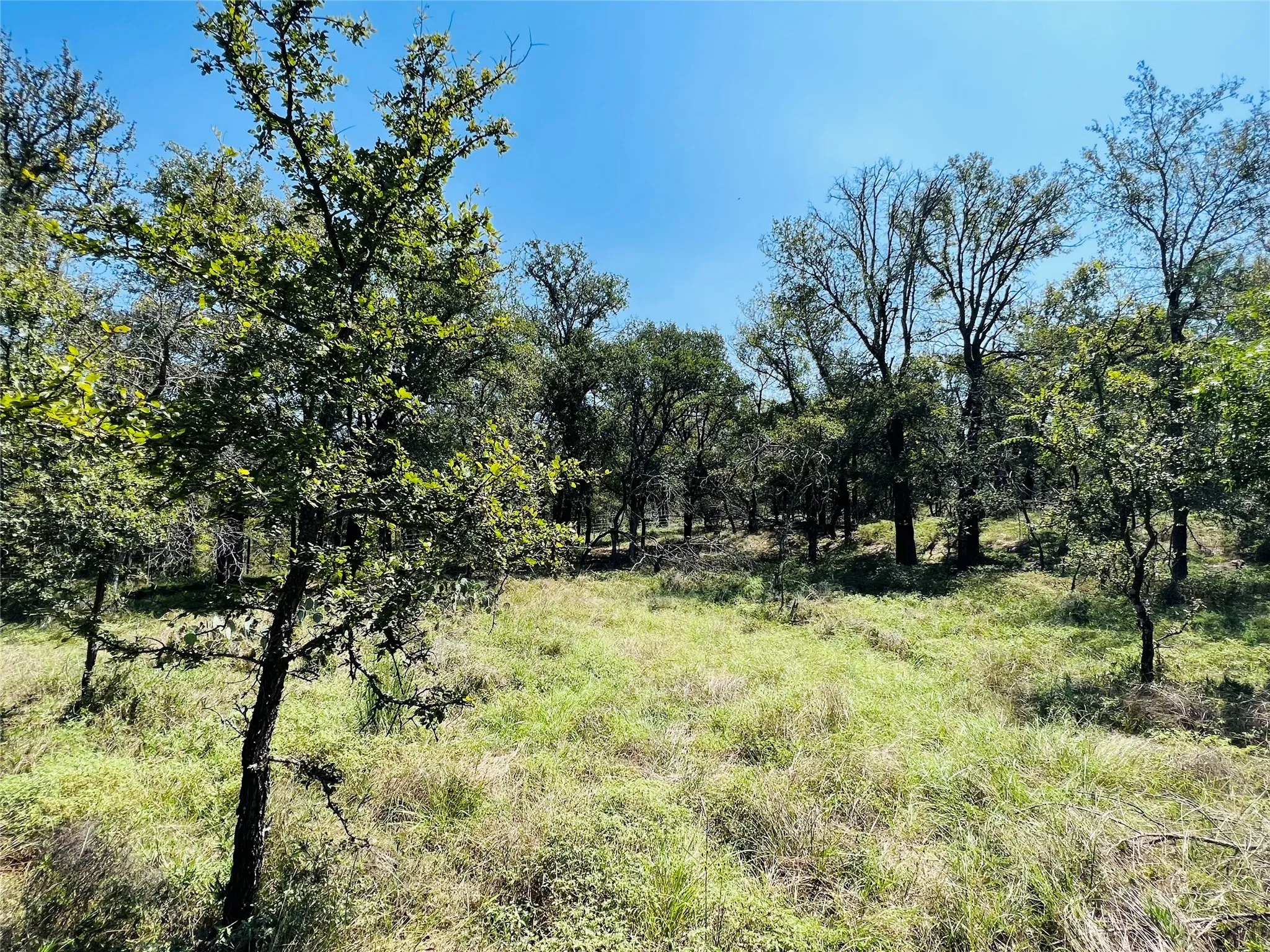 Ranch For Sale in Palo Pinto County , 20 IH, Santo, Texas 76472, 0, 0, Garage spaces, 0 Sqft, built in 0, mls#21063273, Real Estate Agent in Santo, Homes For Sale in Palo Pinto county, Homes For Sale in Santo, Realtor in Santo Texas, Real Estate Brokerage Independent Realty Texas, Luminita Cordes Realtor
