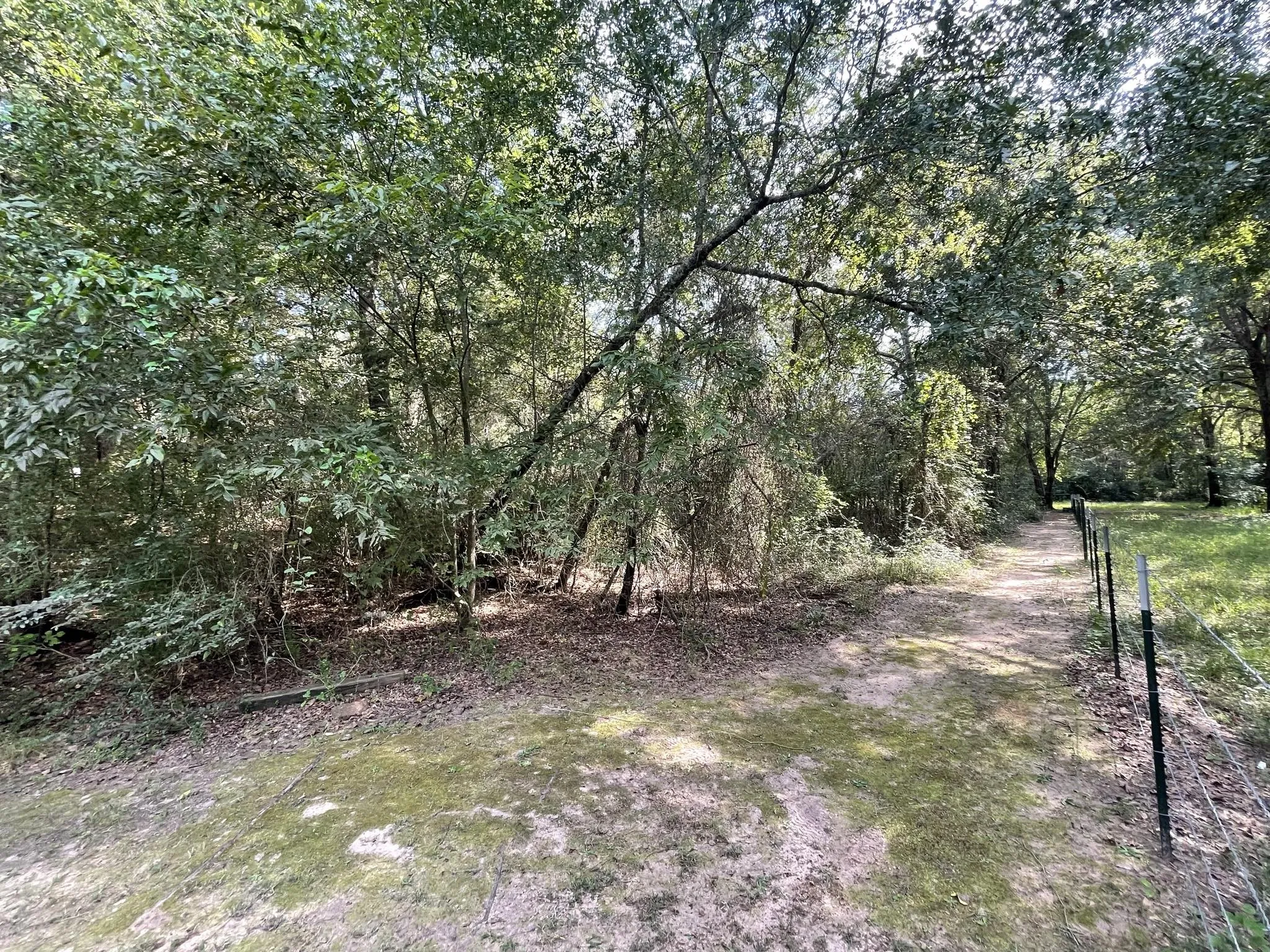 Manufactured Home For Sale in Anderson County , 16399 N US Highway 287, Tennessee Colony, Texas 75861, 0, 1 Bathroom, Garage spaces, 1,914 Sqft, built in 1980, mls#21061899, Real Estate Agent in Tennessee Colony, Homes For Sale in Anderson county, Homes For Sale in Tennessee Colony, Realtor in Tennessee Colony Texas, Real Estate Brokerage Independent Realty Texas, Luminita Cordes Realtor