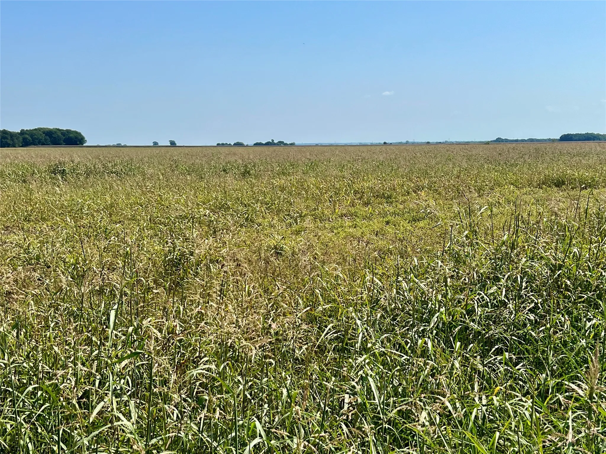 Unimproved Land For Sale in Ellis County , TBD 105 acres Dale Acres Road, Milford, Texas 76670, 0, 0, Garage spaces, 0 Sqft, built in 0, mls#21063466, Real Estate Agent in Milford, Homes For Sale in Ellis county, Homes For Sale in Milford, Realtor in Milford Texas, Real Estate Brokerage Independent Realty Texas, Luminita Cordes Realtor