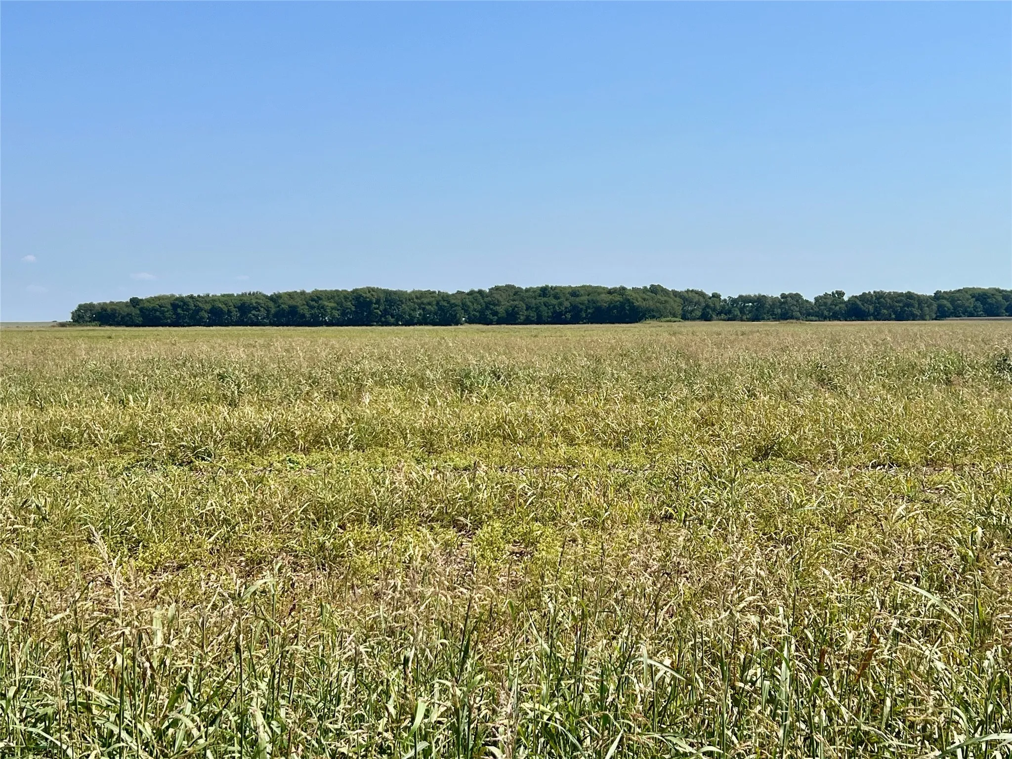 Unimproved Land For Sale in Ellis County , TBD 105 acres Dale Acres Road, Milford, Texas 76670, 0, 0, Garage spaces, 0 Sqft, built in 0, mls#21063466, Real Estate Agent in Milford, Homes For Sale in Ellis county, Homes For Sale in Milford, Realtor in Milford Texas, Real Estate Brokerage Independent Realty Texas, Luminita Cordes Realtor
