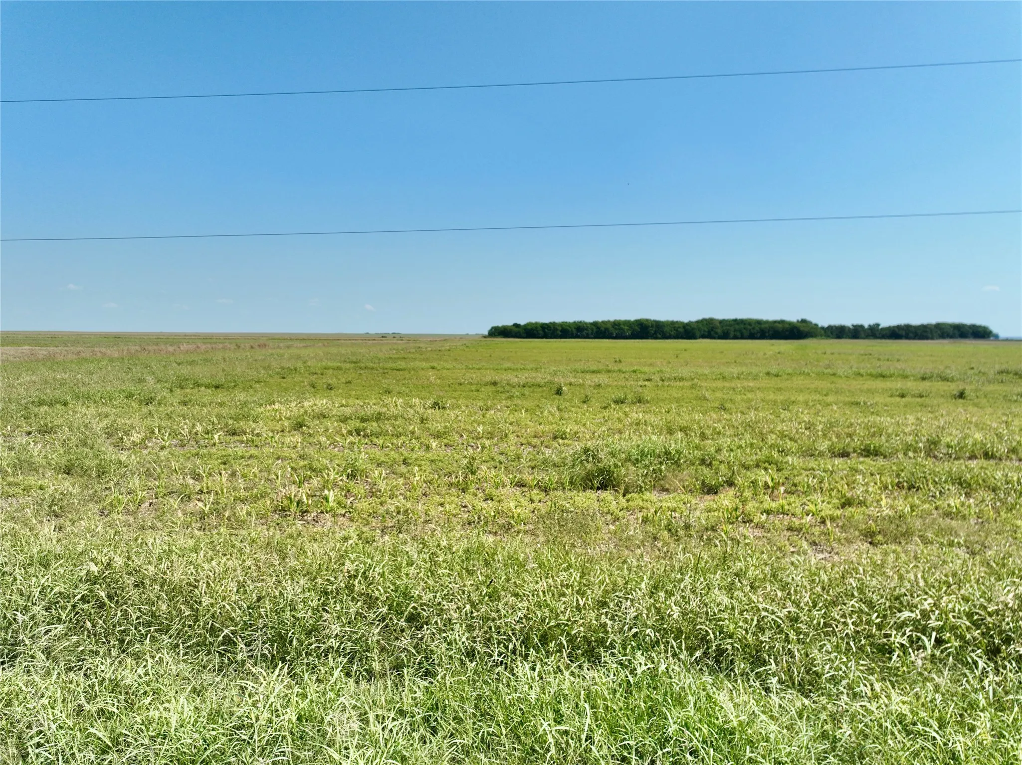 Unimproved Land For Sale in Ellis County , TBD 105 acres Dale Acres Road, Milford, Texas 76670, 0, 0, Garage spaces, 0 Sqft, built in 0, mls#21063466, Real Estate Agent in Milford, Homes For Sale in Ellis county, Homes For Sale in Milford, Realtor in Milford Texas, Real Estate Brokerage Independent Realty Texas, Luminita Cordes Realtor