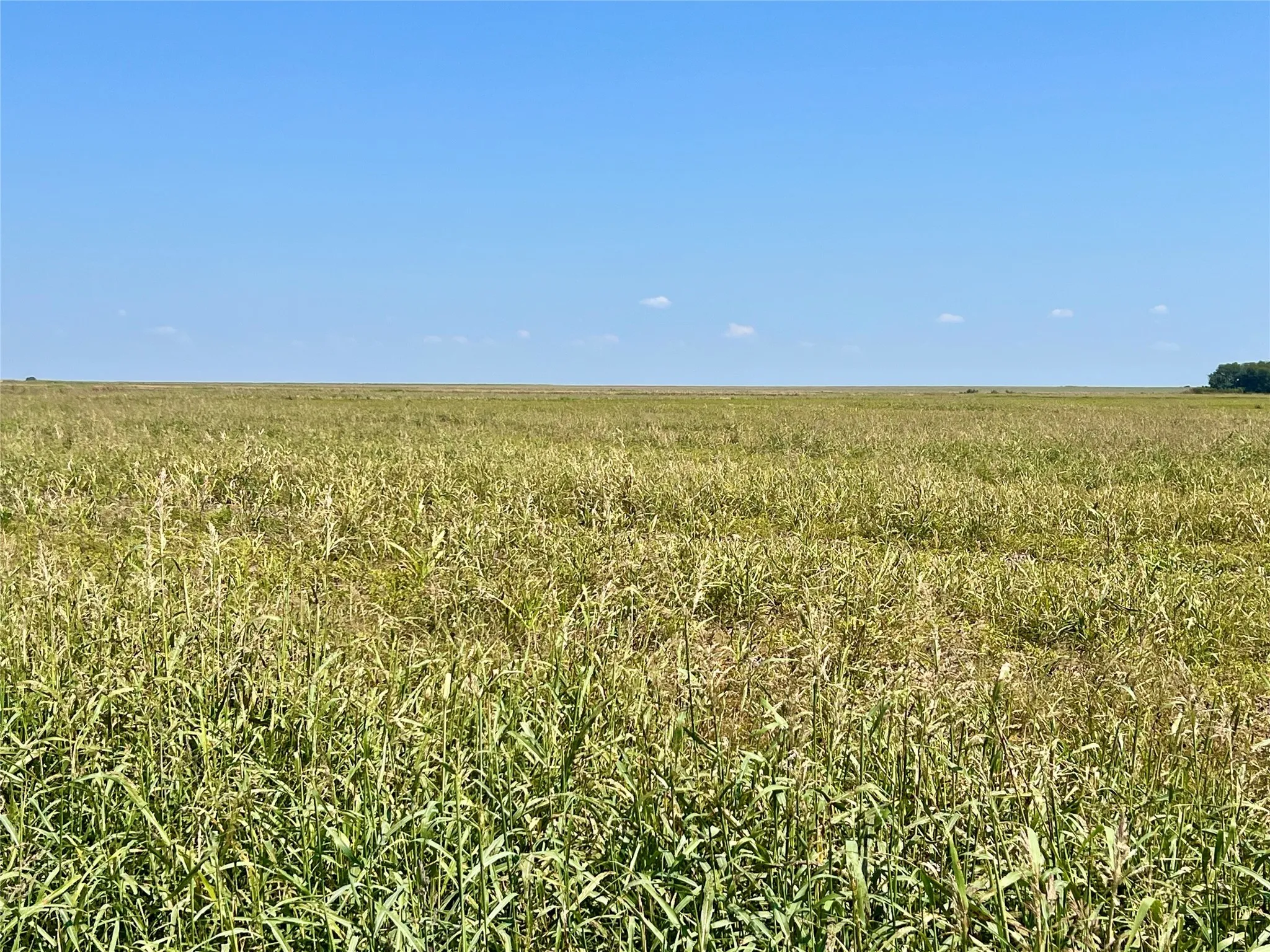 Unimproved Land For Sale in Ellis County , TBD 105 acres Dale Acres Road, Milford, Texas 76670, 0, 0, Garage spaces, 0 Sqft, built in 0, mls#21063466, Real Estate Agent in Milford, Homes For Sale in Ellis county, Homes For Sale in Milford, Realtor in Milford Texas, Real Estate Brokerage Independent Realty Texas, Luminita Cordes Realtor