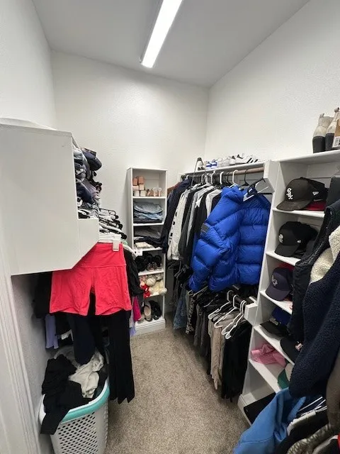 Spacious closet with light colored carpet