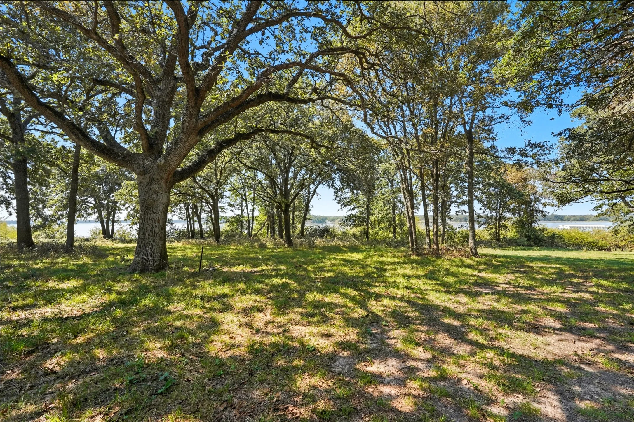 Unimproved Land For Sale in Hunt County , 3855 County Road 3410, Lone Oak, Texas 75453, 0, 0, Garage spaces, 0 Sqft, built in 1989, mls#21062561, Real Estate Agent in Lone Oak, Homes For Sale in Hunt county, Homes For Sale in Lone Oak, Realtor in Lone Oak Texas, Real Estate Brokerage Independent Realty Texas, Luminita Cordes Realtor