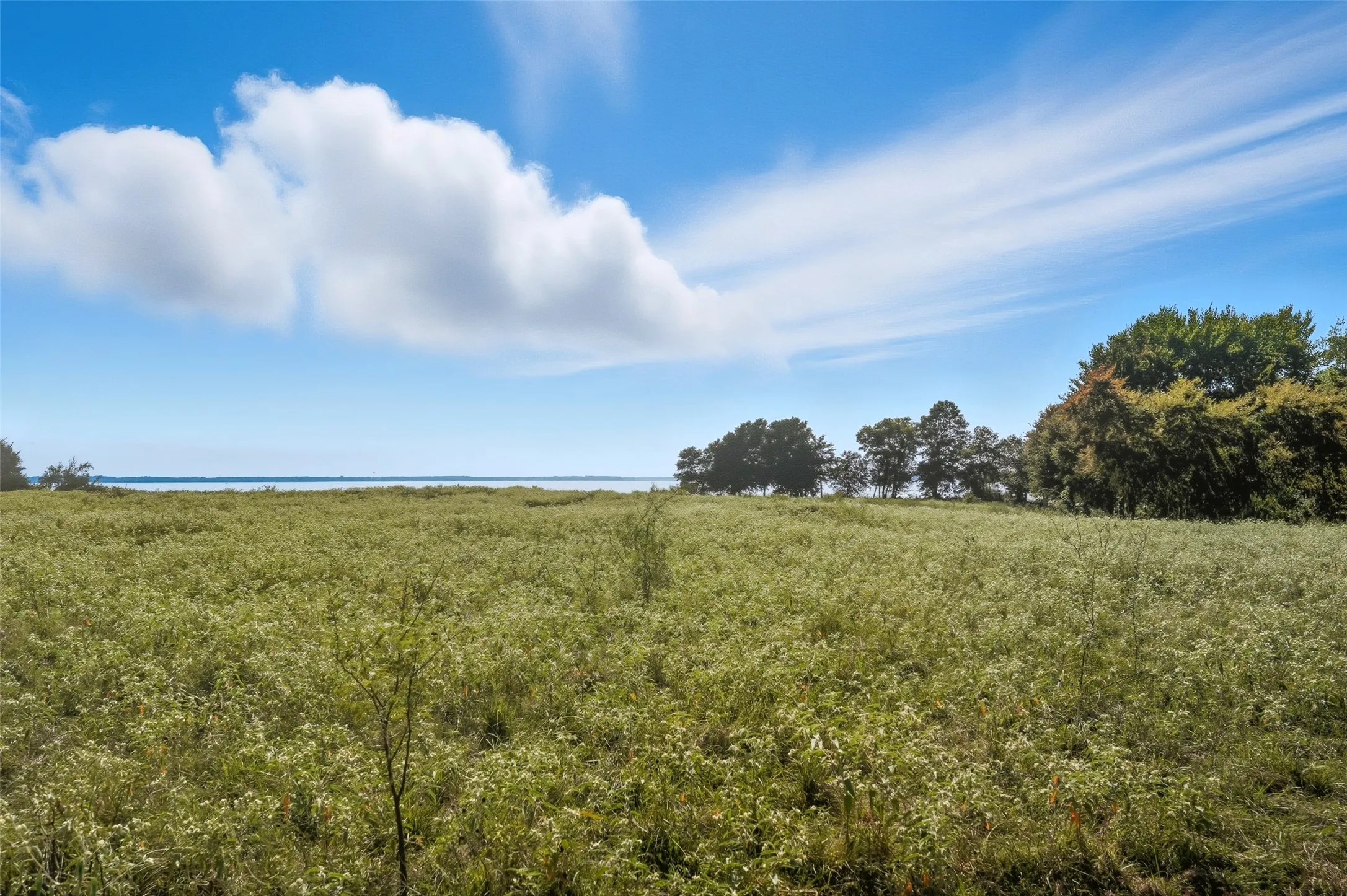 Unimproved Land For Sale in Hunt County , 3855 County Road 3410, Lone Oak, Texas 75453, 0, 0, Garage spaces, 0 Sqft, built in 1989, mls#21062561, Real Estate Agent in Lone Oak, Homes For Sale in Hunt county, Homes For Sale in Lone Oak, Realtor in Lone Oak Texas, Real Estate Brokerage Independent Realty Texas, Luminita Cordes Realtor