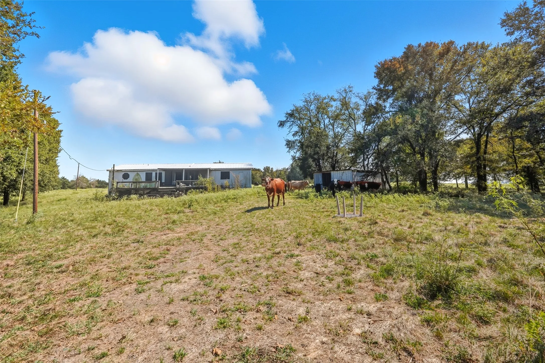 Unimproved Land For Sale in Hunt County , 3855 County Road 3410, Lone Oak, Texas 75453, 0, 0, Garage spaces, 0 Sqft, built in 1989, mls#21062561, Real Estate Agent in Lone Oak, Homes For Sale in Hunt county, Homes For Sale in Lone Oak, Realtor in Lone Oak Texas, Real Estate Brokerage Independent Realty Texas, Luminita Cordes Realtor