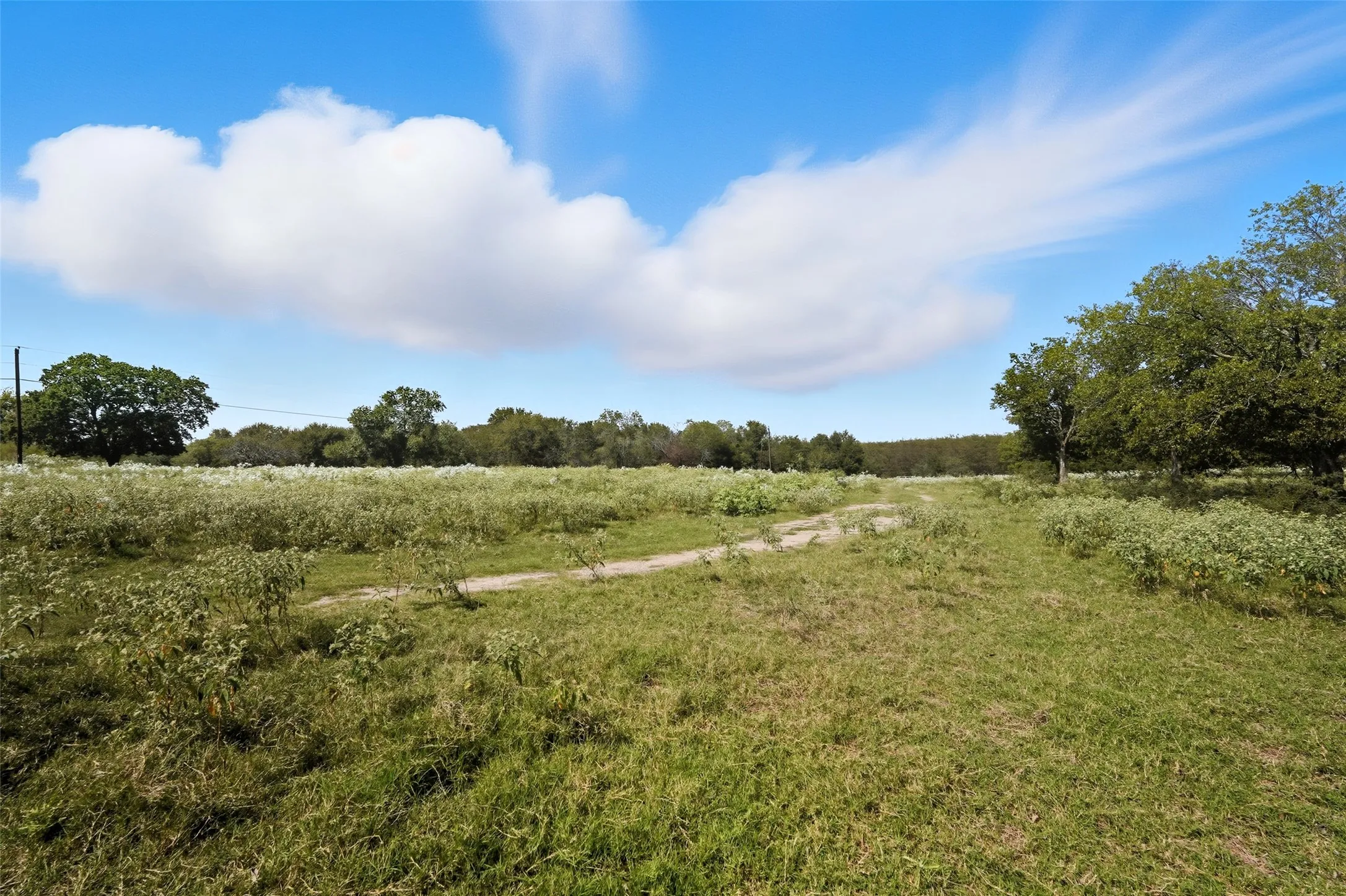 Unimproved Land For Sale in Hunt County , 3855 County Road 3410, Lone Oak, Texas 75453, 0, 0, Garage spaces, 0 Sqft, built in 1989, mls#21062561, Real Estate Agent in Lone Oak, Homes For Sale in Hunt county, Homes For Sale in Lone Oak, Realtor in Lone Oak Texas, Real Estate Brokerage Independent Realty Texas, Luminita Cordes Realtor
