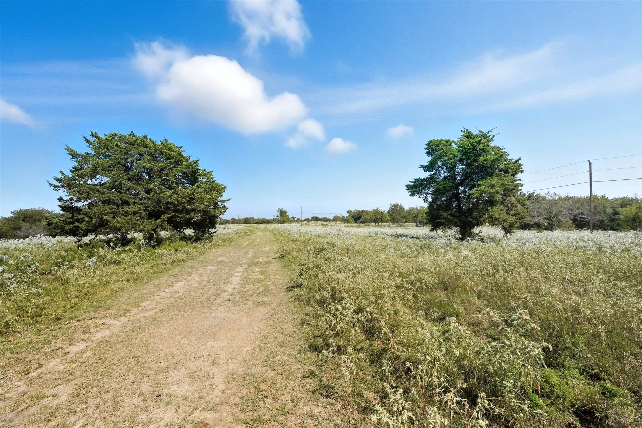 Unimproved Land For Sale in Hunt County , 3855 County Road 3410, Lone Oak, Texas 75453, 0, 0, Garage spaces, 0 Sqft, built in 1989, mls#21062561, Real Estate Agent in Lone Oak, Homes For Sale in Hunt county, Homes For Sale in Lone Oak, Realtor in Lone Oak Texas, Real Estate Brokerage Independent Realty Texas, Luminita Cordes Realtor