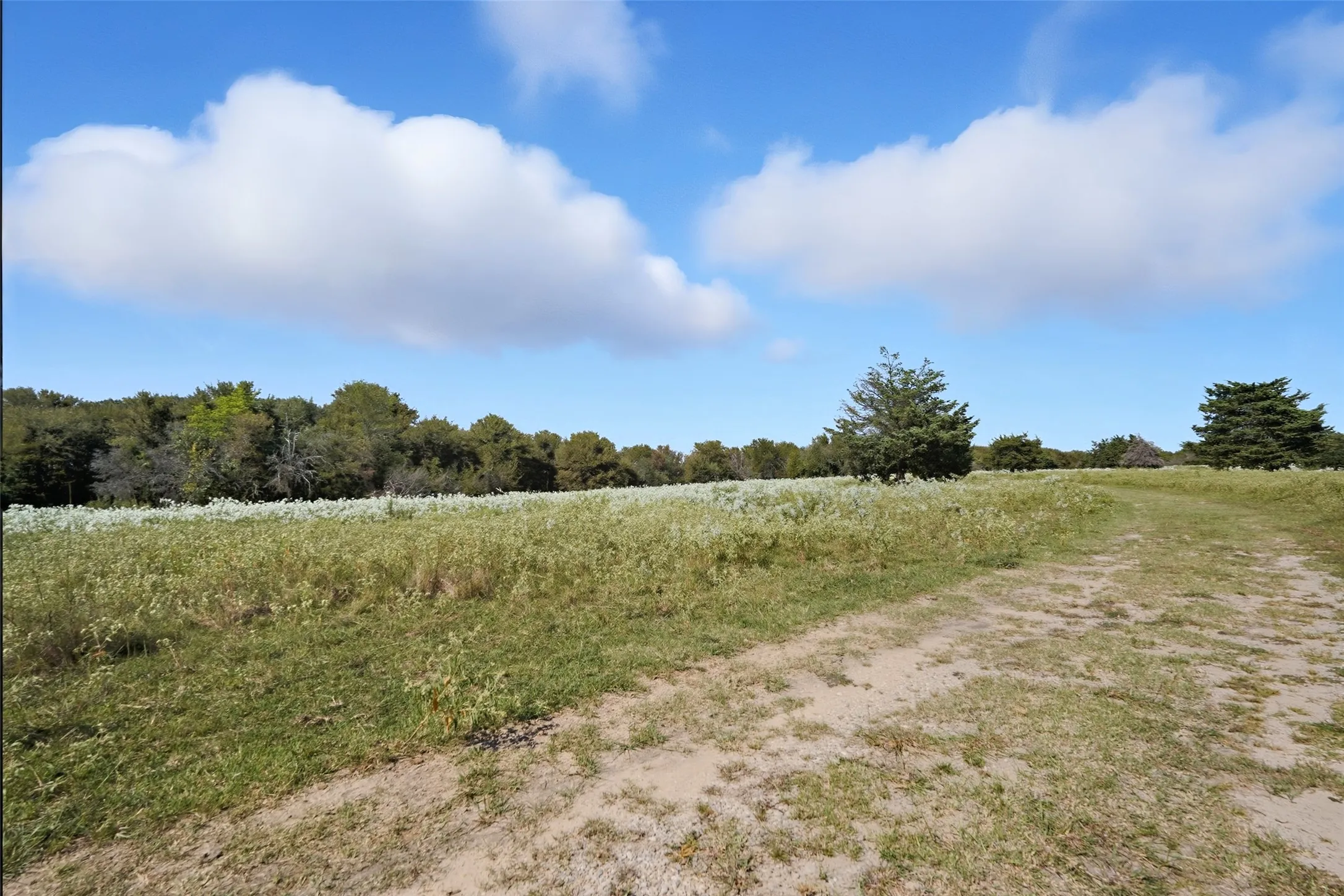 Unimproved Land For Sale in Hunt County , 3855 County Road 3410, Lone Oak, Texas 75453, 0, 0, Garage spaces, 0 Sqft, built in 1989, mls#21062561, Real Estate Agent in Lone Oak, Homes For Sale in Hunt county, Homes For Sale in Lone Oak, Realtor in Lone Oak Texas, Real Estate Brokerage Independent Realty Texas, Luminita Cordes Realtor