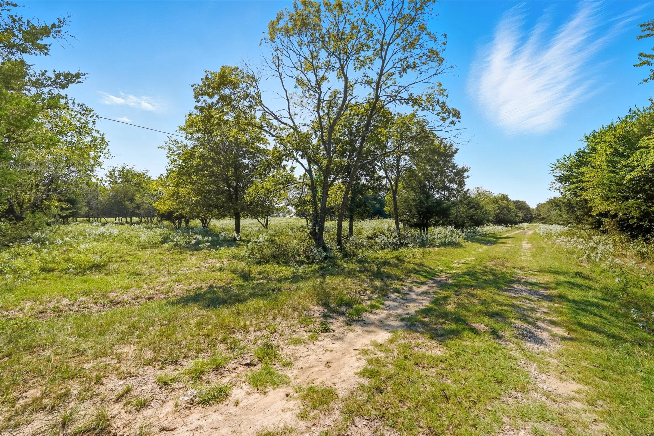 Unimproved Land For Sale in Hunt County , 3855 County Road 3410, Lone Oak, Texas 75453, 0, 0, Garage spaces, 0 Sqft, built in 1989, mls#21062561, Real Estate Agent in Lone Oak, Homes For Sale in Hunt county, Homes For Sale in Lone Oak, Realtor in Lone Oak Texas, Real Estate Brokerage Independent Realty Texas, Luminita Cordes Realtor