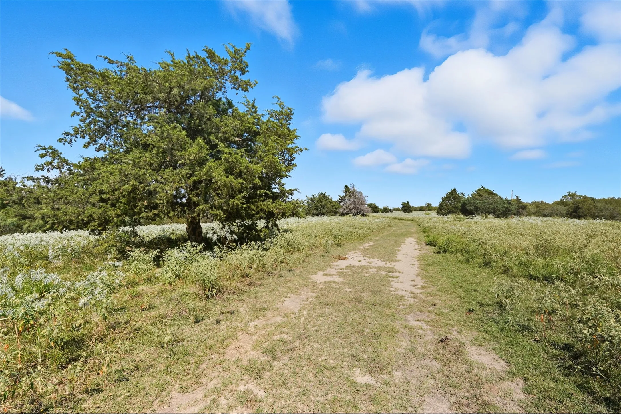 Unimproved Land For Sale in Hunt County , 3855 County Road 3410, Lone Oak, Texas 75453, 0, 0, Garage spaces, 0 Sqft, built in 1989, mls#21062561, Real Estate Agent in Lone Oak, Homes For Sale in Hunt county, Homes For Sale in Lone Oak, Realtor in Lone Oak Texas, Real Estate Brokerage Independent Realty Texas, Luminita Cordes Realtor