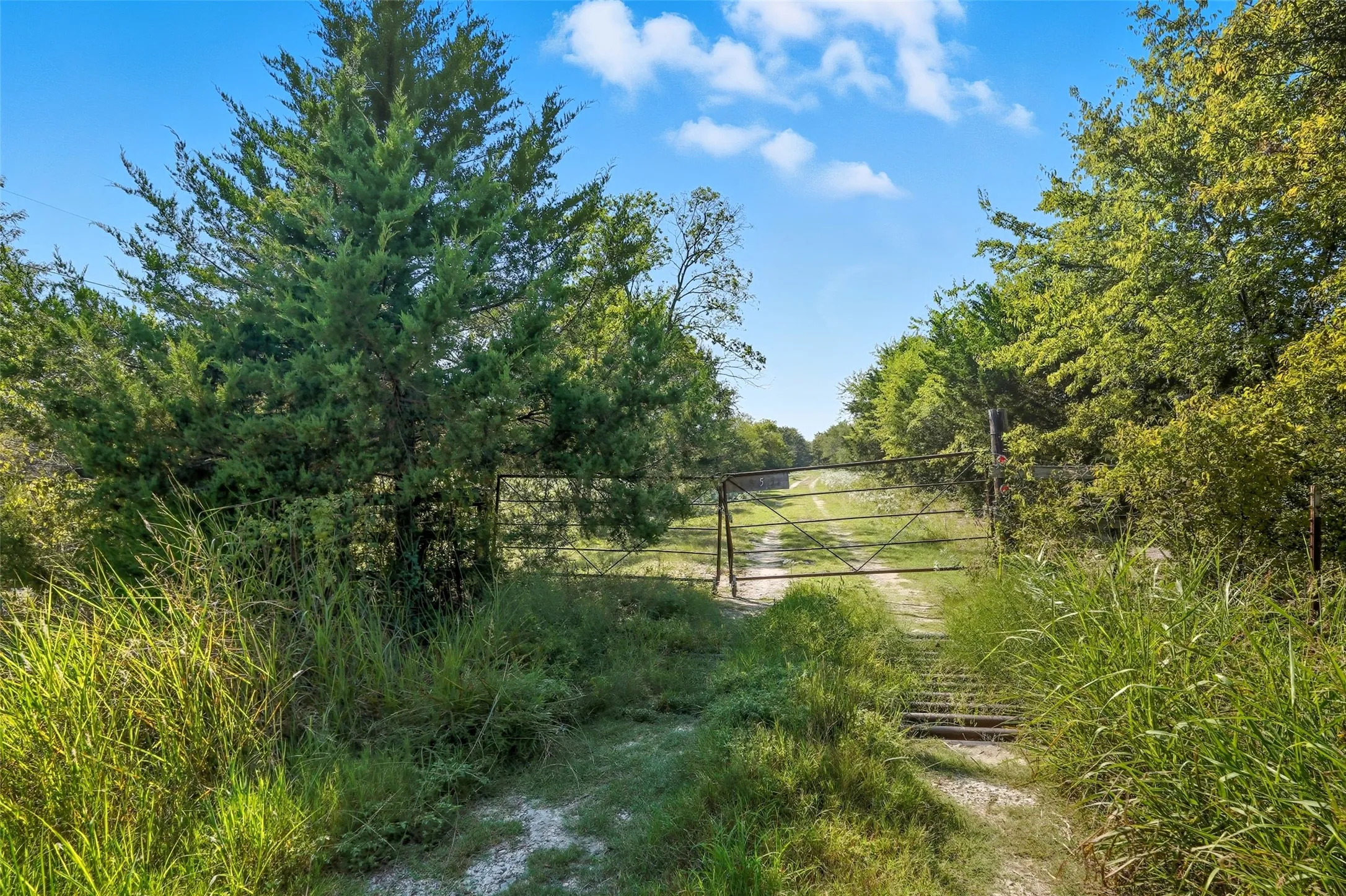 Unimproved Land For Sale in Hunt County , 3855 County Road 3410, Lone Oak, Texas 75453, 0, 0, Garage spaces, 0 Sqft, built in 1989, mls#21062561, Real Estate Agent in Lone Oak, Homes For Sale in Hunt county, Homes For Sale in Lone Oak, Realtor in Lone Oak Texas, Real Estate Brokerage Independent Realty Texas, Luminita Cordes Realtor