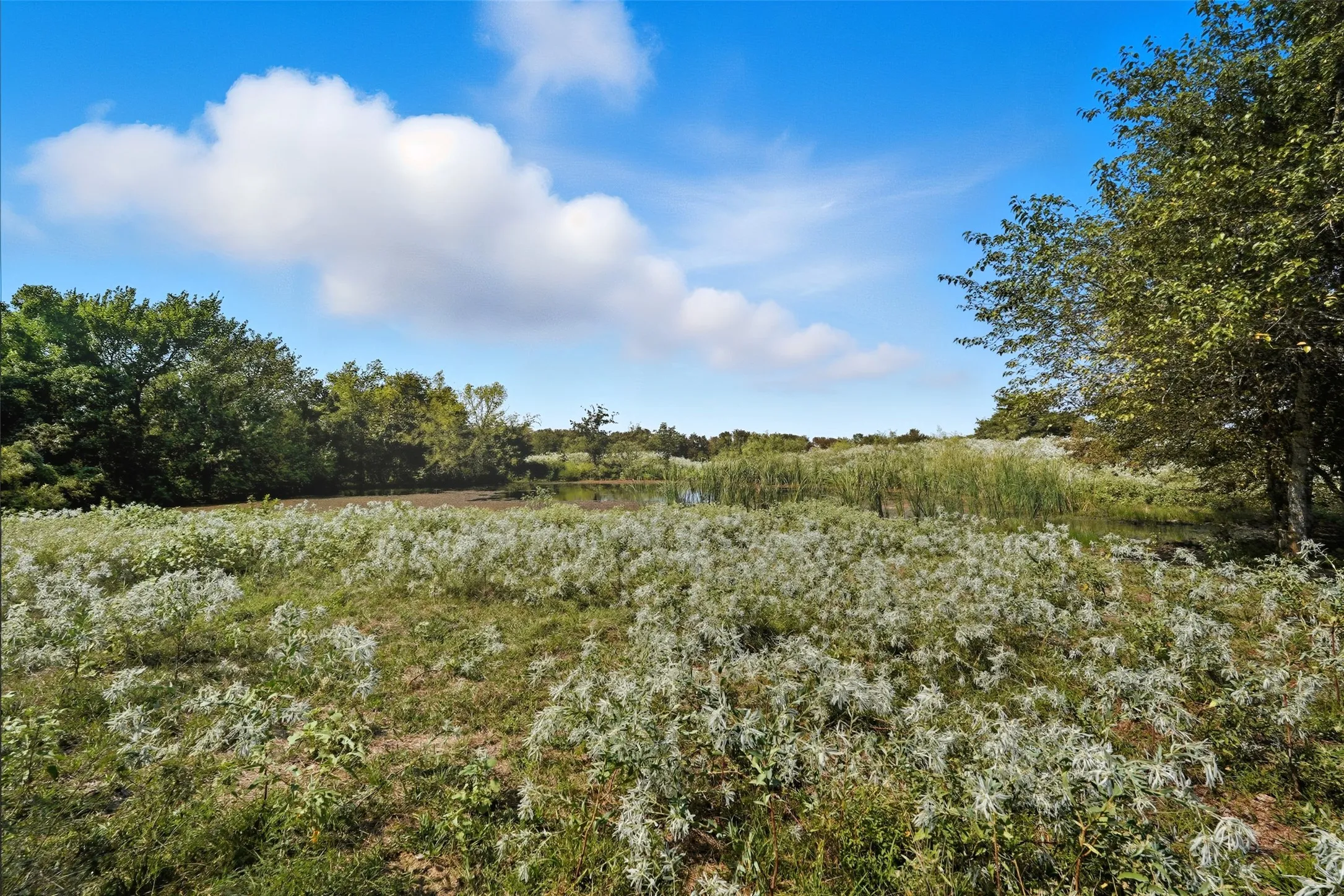 Unimproved Land For Sale in Hunt County , 3855 County Road 3410, Lone Oak, Texas 75453, 0, 0, Garage spaces, 0 Sqft, built in 1989, mls#21062561, Real Estate Agent in Lone Oak, Homes For Sale in Hunt county, Homes For Sale in Lone Oak, Realtor in Lone Oak Texas, Real Estate Brokerage Independent Realty Texas, Luminita Cordes Realtor