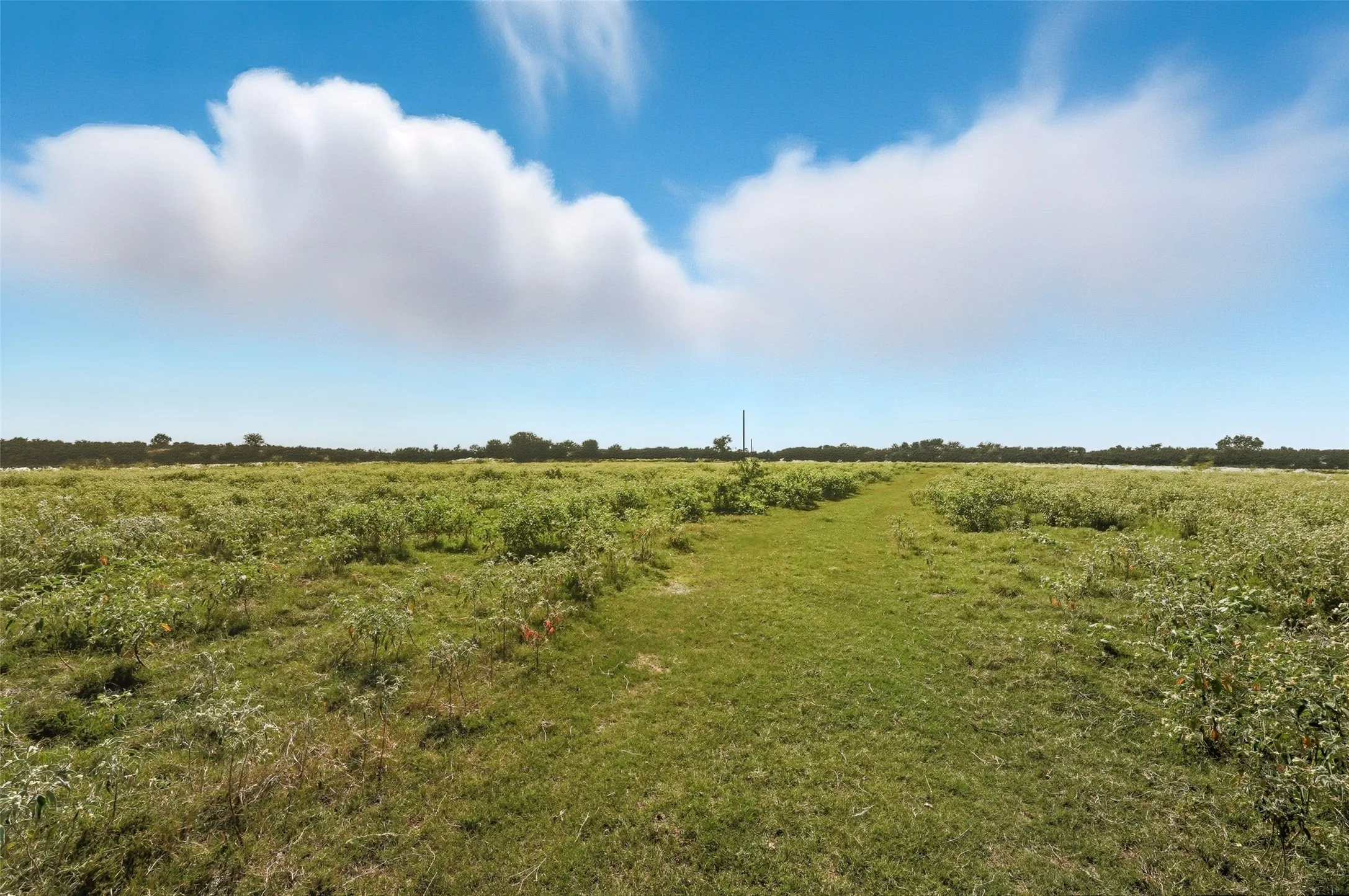 Unimproved Land For Sale in Hunt County , 3855 County Road 3410, Lone Oak, Texas 75453, 0, 0, Garage spaces, 0 Sqft, built in 1989, mls#21062561, Real Estate Agent in Lone Oak, Homes For Sale in Hunt county, Homes For Sale in Lone Oak, Realtor in Lone Oak Texas, Real Estate Brokerage Independent Realty Texas, Luminita Cordes Realtor