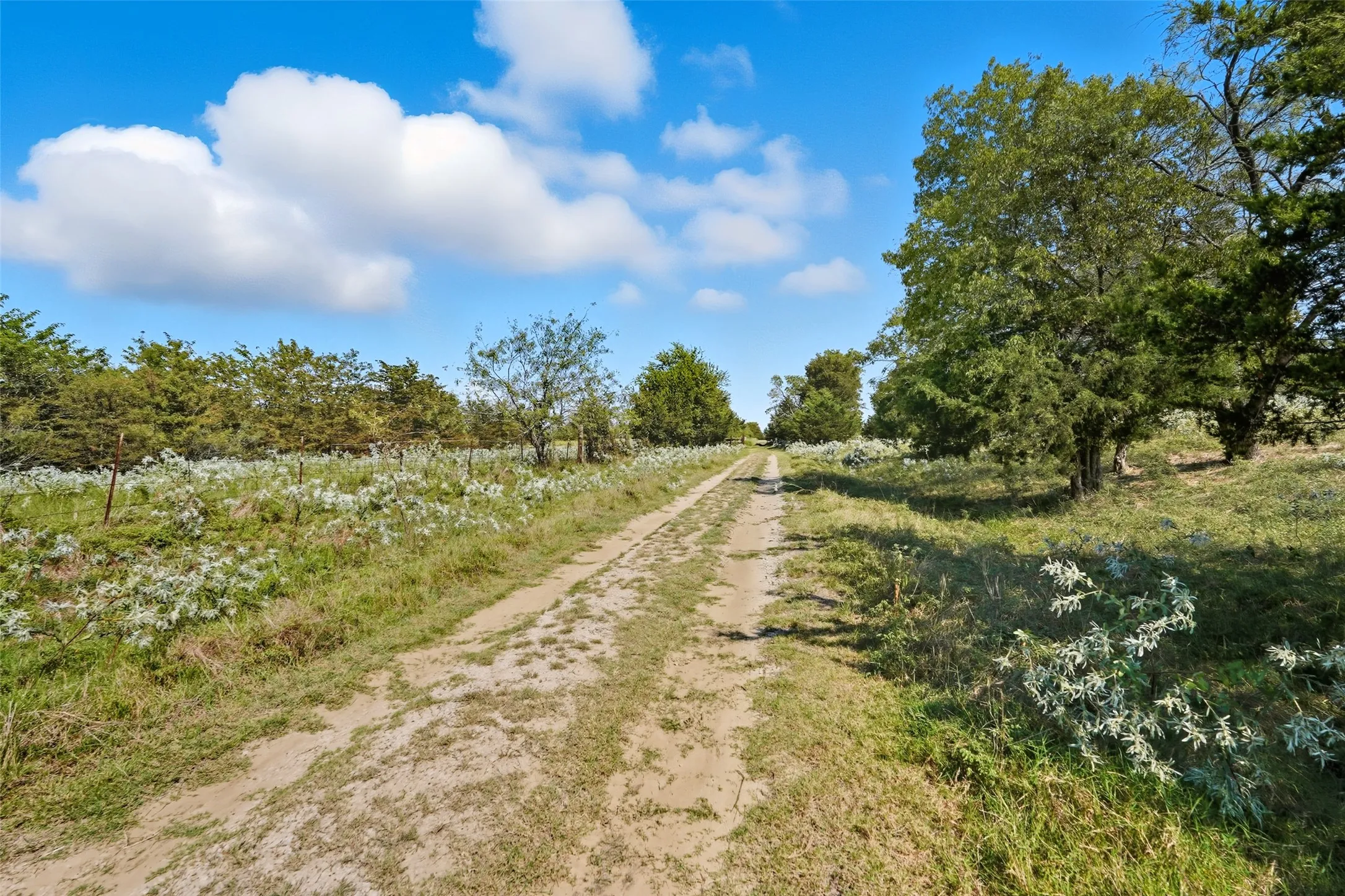Unimproved Land For Sale in Hunt County , 3855 County Road 3410, Lone Oak, Texas 75453, 0, 0, Garage spaces, 0 Sqft, built in 1989, mls#21062561, Real Estate Agent in Lone Oak, Homes For Sale in Hunt county, Homes For Sale in Lone Oak, Realtor in Lone Oak Texas, Real Estate Brokerage Independent Realty Texas, Luminita Cordes Realtor