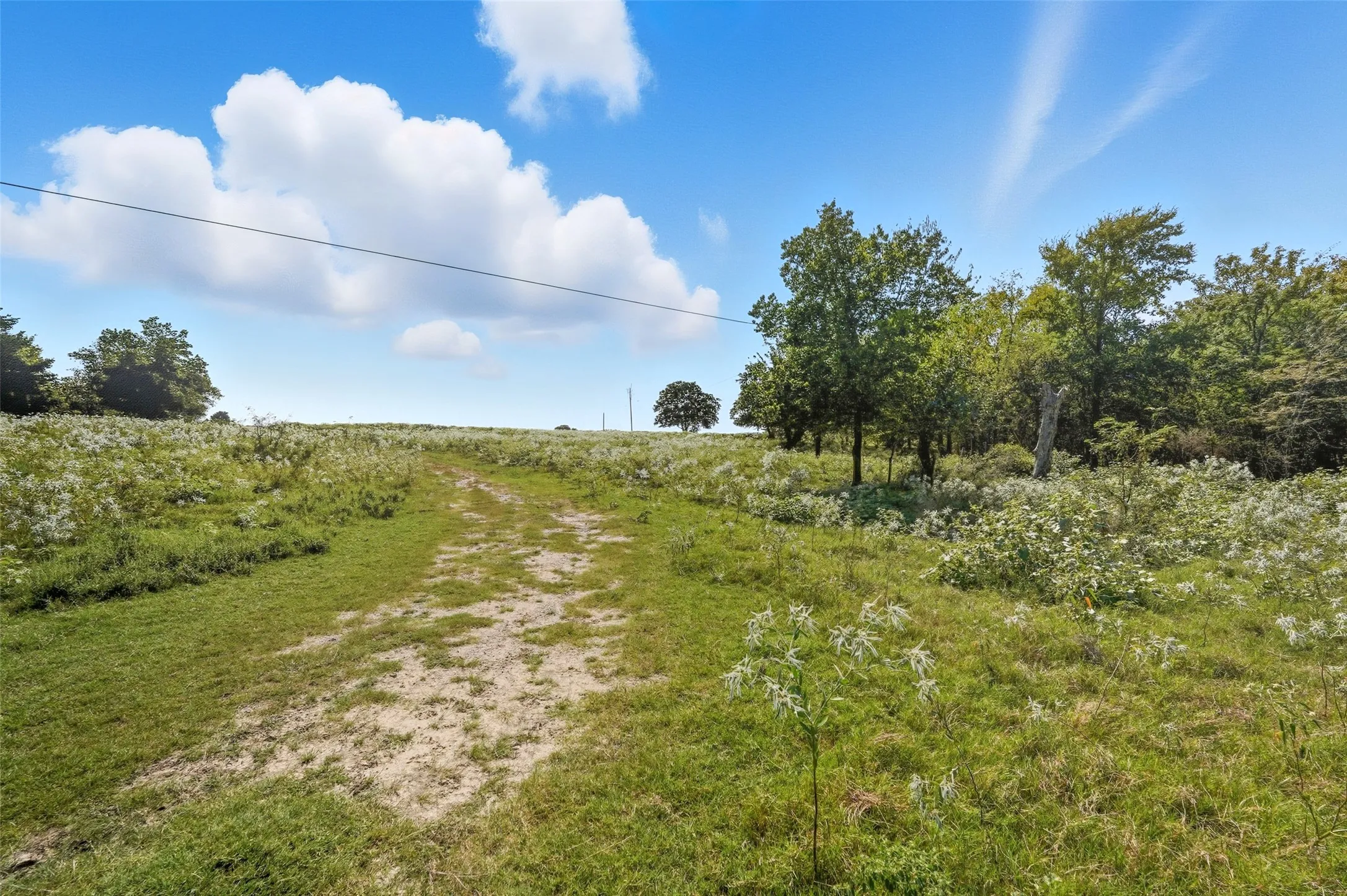 Unimproved Land For Sale in Hunt County , 3855 County Road 3410, Lone Oak, Texas 75453, 0, 0, Garage spaces, 0 Sqft, built in 1989, mls#21062561, Real Estate Agent in Lone Oak, Homes For Sale in Hunt county, Homes For Sale in Lone Oak, Realtor in Lone Oak Texas, Real Estate Brokerage Independent Realty Texas, Luminita Cordes Realtor