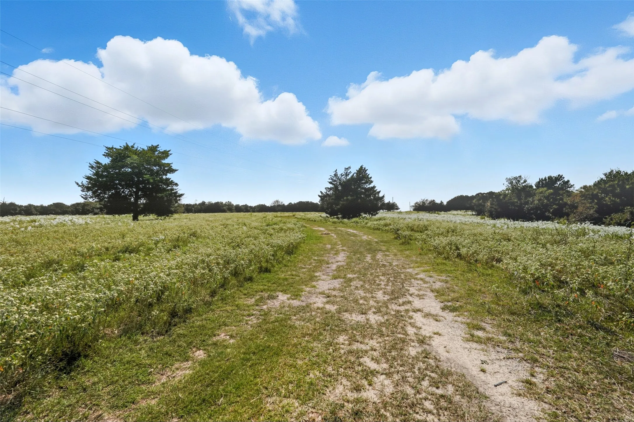 Unimproved Land For Sale in Hunt County , 3855 County Road 3410, Lone Oak, Texas 75453, 0, 0, Garage spaces, 0 Sqft, built in 1989, mls#21062561, Real Estate Agent in Lone Oak, Homes For Sale in Hunt county, Homes For Sale in Lone Oak, Realtor in Lone Oak Texas, Real Estate Brokerage Independent Realty Texas, Luminita Cordes Realtor