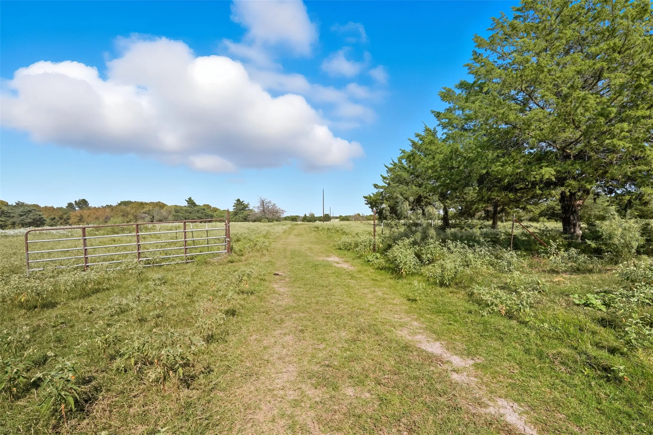 Unimproved Land For Sale in Hunt County , 3855 County Road 3410, Lone Oak, Texas 75453, 0, 0, Garage spaces, 0 Sqft, built in 1989, mls#21062561, Real Estate Agent in Lone Oak, Homes For Sale in Hunt county, Homes For Sale in Lone Oak, Realtor in Lone Oak Texas, Real Estate Brokerage Independent Realty Texas, Luminita Cordes Realtor
