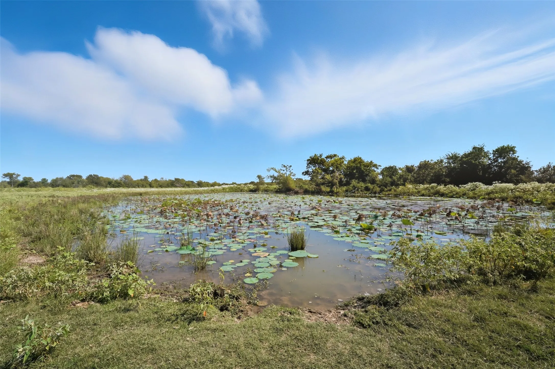 Unimproved Land For Sale in Hunt County , 3855 County Road 3410, Lone Oak, Texas 75453, 0, 0, Garage spaces, 0 Sqft, built in 1989, mls#21062561, Real Estate Agent in Lone Oak, Homes For Sale in Hunt county, Homes For Sale in Lone Oak, Realtor in Lone Oak Texas, Real Estate Brokerage Independent Realty Texas, Luminita Cordes Realtor
