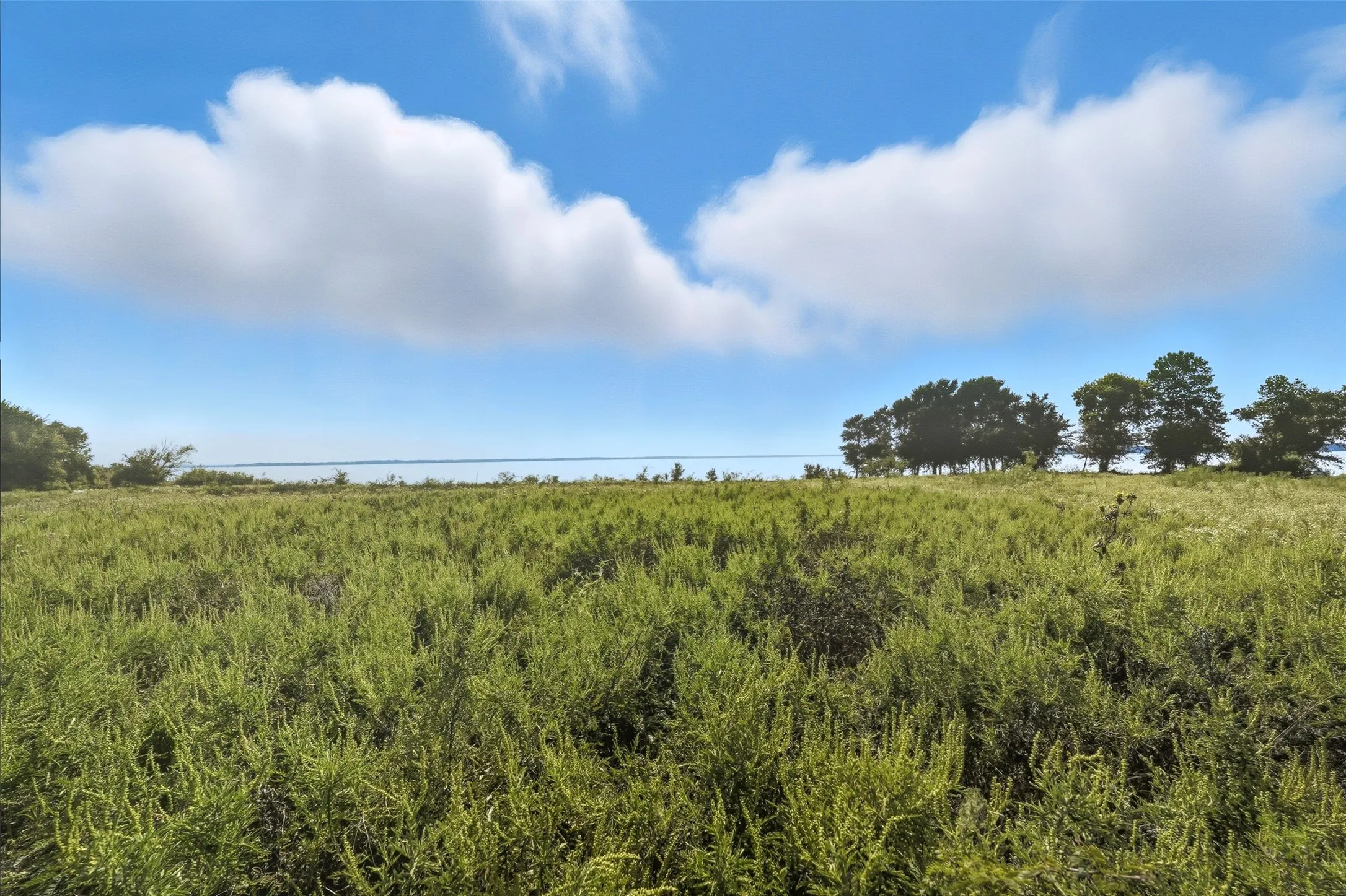 Unimproved Land For Sale in Hunt County , 3855 County Road 3410, Lone Oak, Texas 75453, 0, 0, Garage spaces, 0 Sqft, built in 1989, mls#21062561, Real Estate Agent in Lone Oak, Homes For Sale in Hunt county, Homes For Sale in Lone Oak, Realtor in Lone Oak Texas, Real Estate Brokerage Independent Realty Texas, Luminita Cordes Realtor