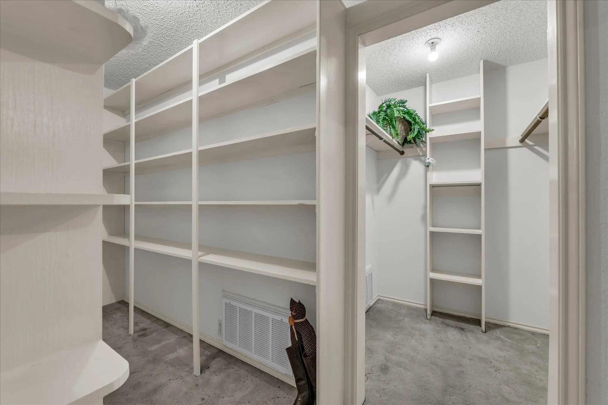 Walk in closet featuring light carpet