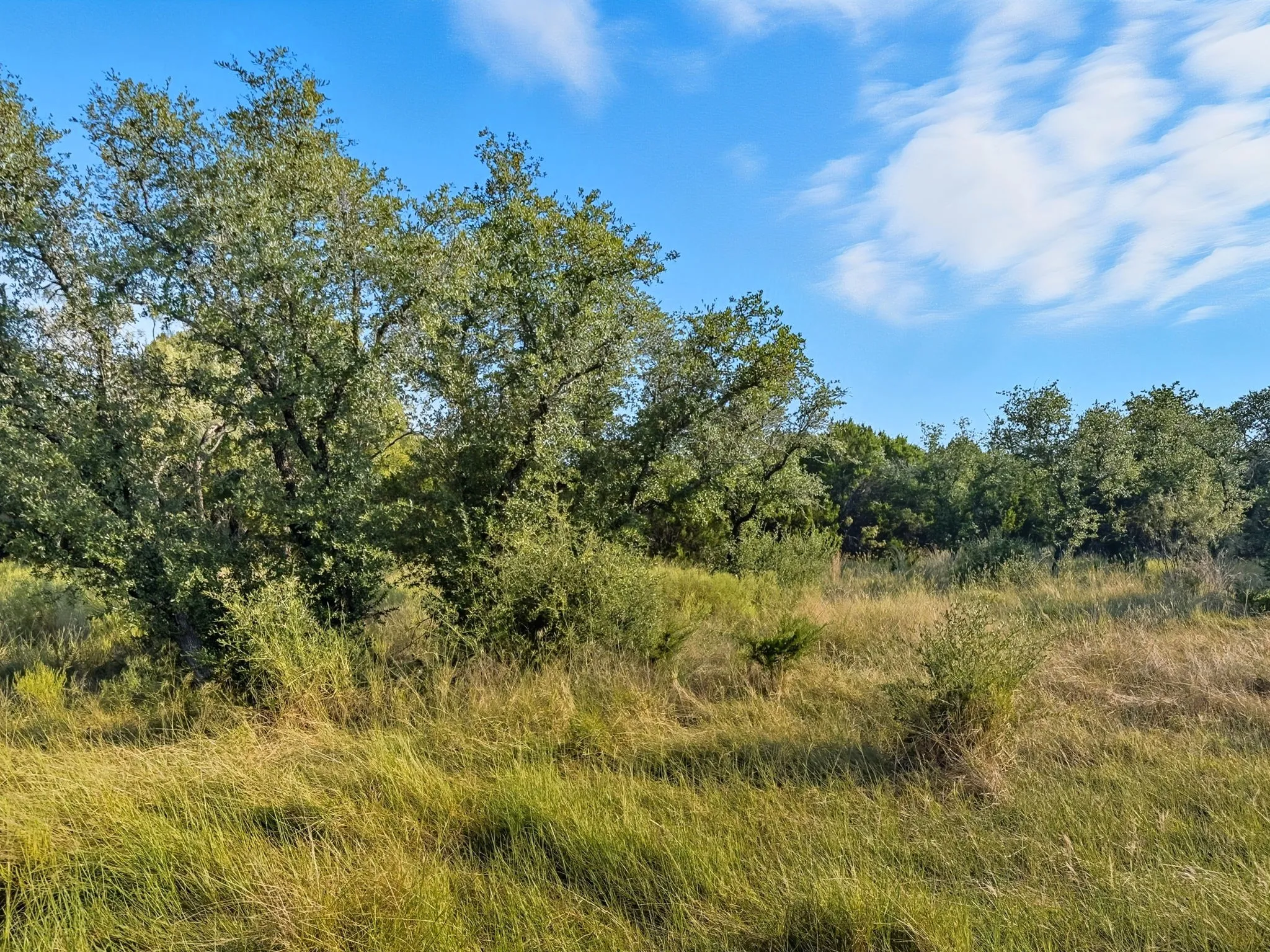 Unimproved Land For Sale in Hamilton County , Lot 24 Ph 4 Pr 42126, Evant, Texas 76566, 0, 0, Garage spaces, 0 Sqft, built in 0, mls#21064754, Real Estate Agent in Evant, Homes For Sale in Hamilton county, Homes For Sale in Evant, Realtor in Evant Texas, Real Estate Brokerage Independent Realty Texas, Luminita Cordes Realtor