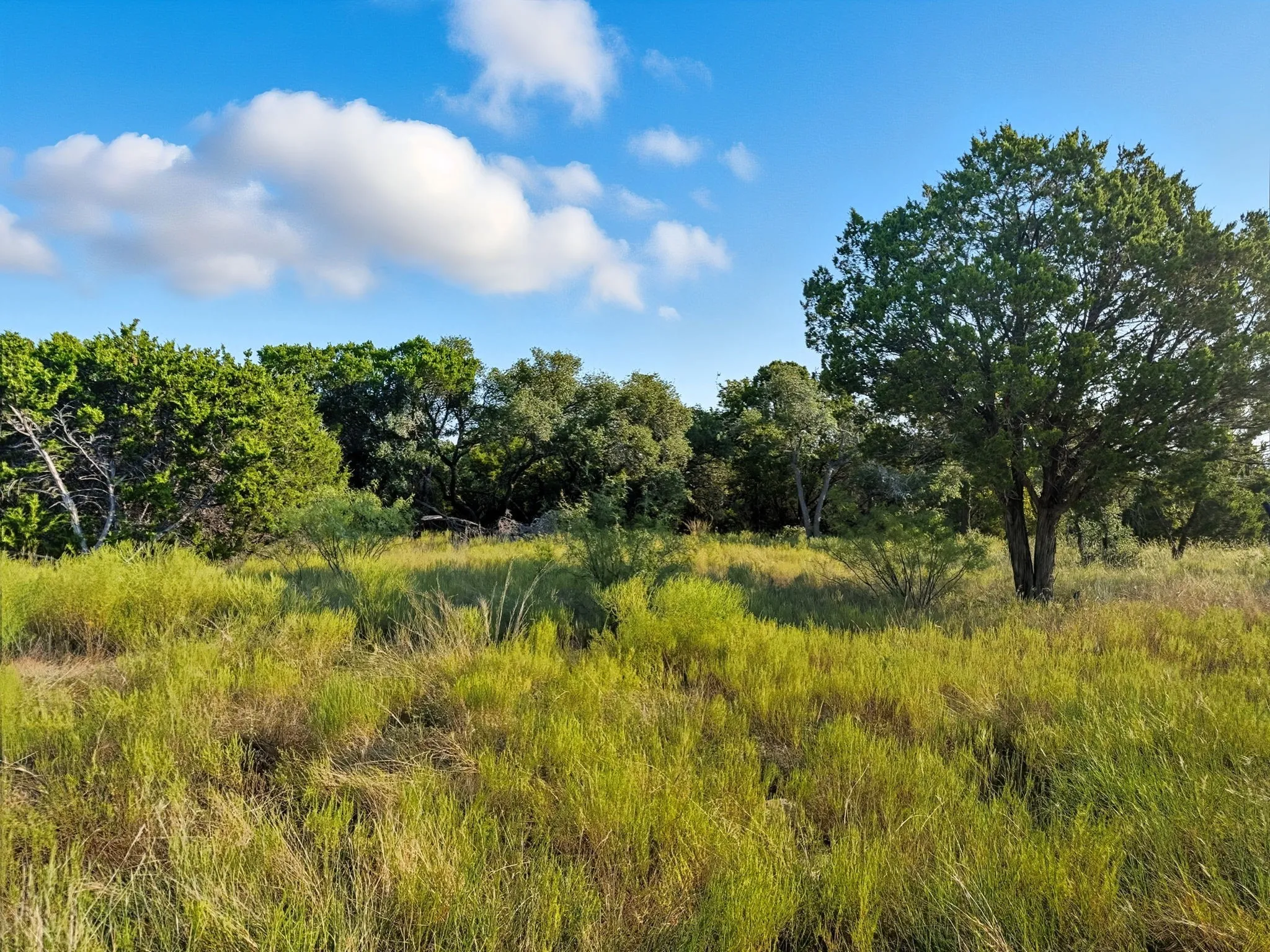 Unimproved Land For Sale in Hamilton County , Lot 24 Ph 4 Pr 42126, Evant, Texas 76566, 0, 0, Garage spaces, 0 Sqft, built in 0, mls#21064754, Real Estate Agent in Evant, Homes For Sale in Hamilton county, Homes For Sale in Evant, Realtor in Evant Texas, Real Estate Brokerage Independent Realty Texas, Luminita Cordes Realtor