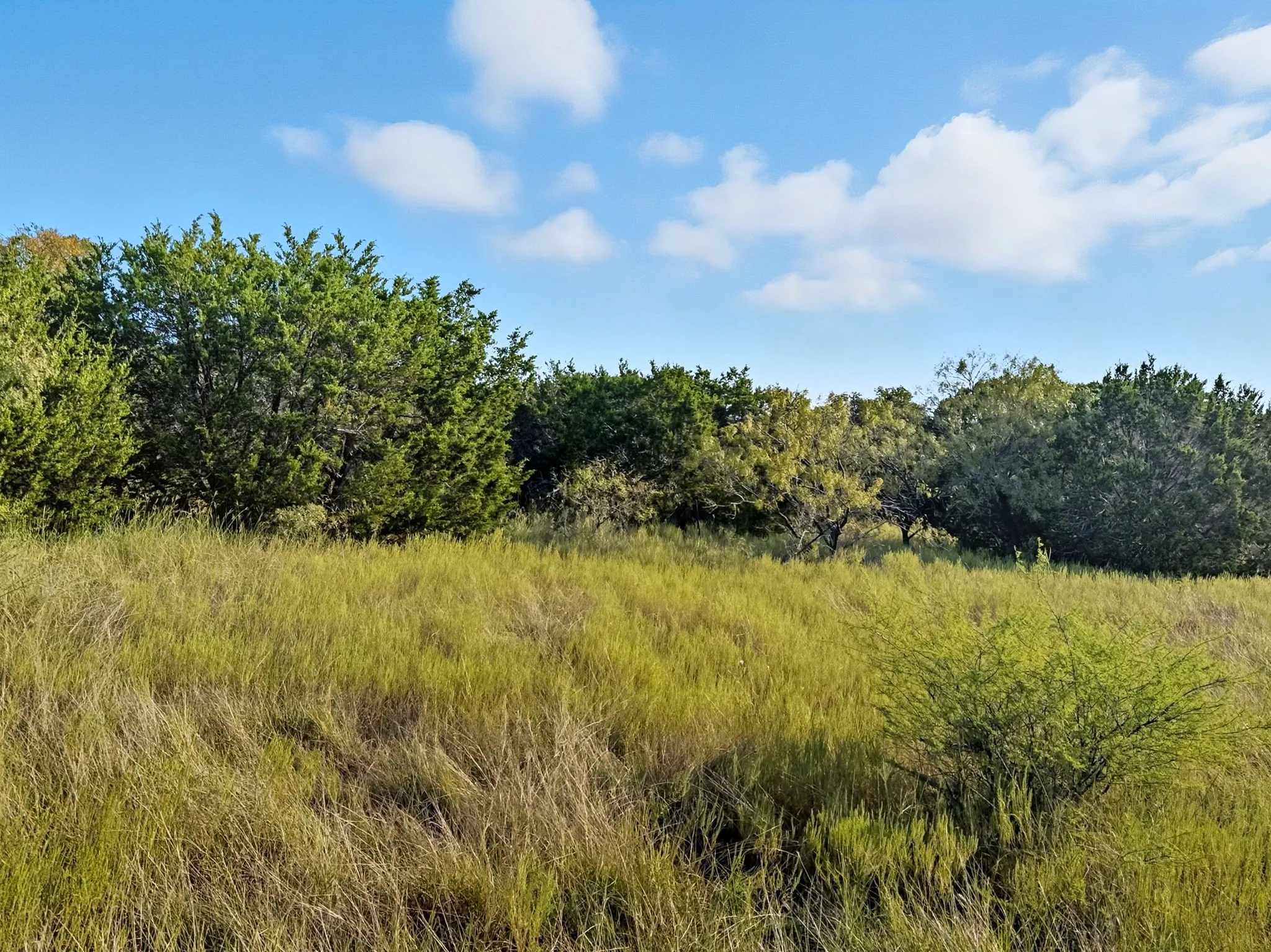 Unimproved Land For Sale in Hamilton County , Lot 24 Ph 4 Pr 42126, Evant, Texas 76566, 0, 0, Garage spaces, 0 Sqft, built in 0, mls#21064754, Real Estate Agent in Evant, Homes For Sale in Hamilton county, Homes For Sale in Evant, Realtor in Evant Texas, Real Estate Brokerage Independent Realty Texas, Luminita Cordes Realtor