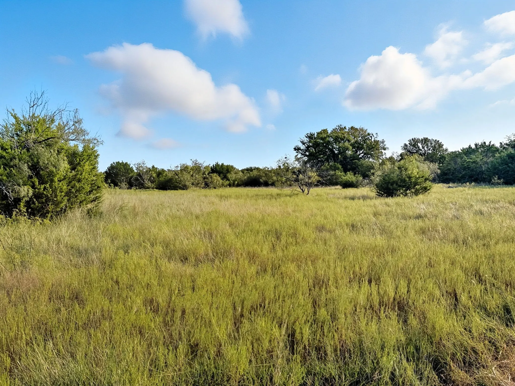 Unimproved Land For Sale in Hamilton County , Lot 24 Ph 4 Pr 42126, Evant, Texas 76566, 0, 0, Garage spaces, 0 Sqft, built in 0, mls#21064754, Real Estate Agent in Evant, Homes For Sale in Hamilton county, Homes For Sale in Evant, Realtor in Evant Texas, Real Estate Brokerage Independent Realty Texas, Luminita Cordes Realtor