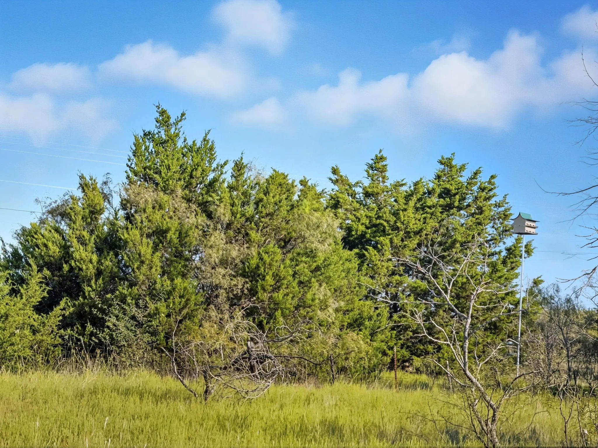 Unimproved Land For Sale in Hamilton County , Lot 24 Ph 4 Pr 42126, Evant, Texas 76566, 0, 0, Garage spaces, 0 Sqft, built in 0, mls#21064754, Real Estate Agent in Evant, Homes For Sale in Hamilton county, Homes For Sale in Evant, Realtor in Evant Texas, Real Estate Brokerage Independent Realty Texas, Luminita Cordes Realtor