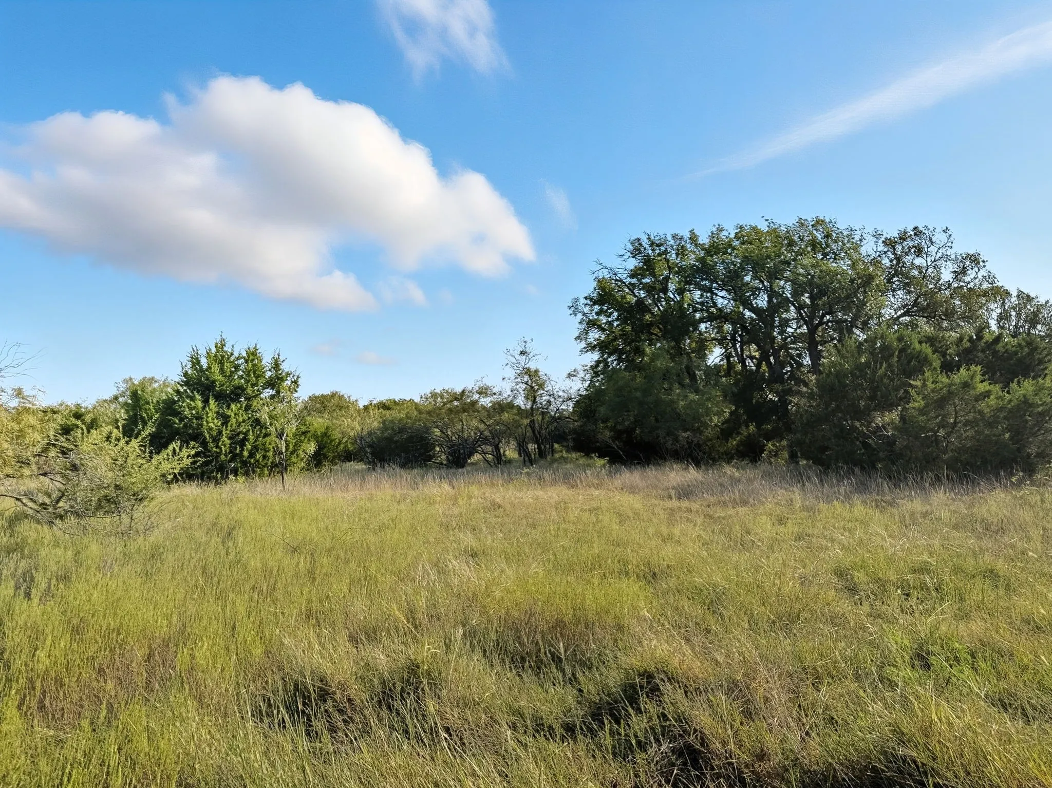 Unimproved Land For Sale in Hamilton County , Lot 24 Ph 4 Pr 42126, Evant, Texas 76566, 0, 0, Garage spaces, 0 Sqft, built in 0, mls#21064754, Real Estate Agent in Evant, Homes For Sale in Hamilton county, Homes For Sale in Evant, Realtor in Evant Texas, Real Estate Brokerage Independent Realty Texas, Luminita Cordes Realtor