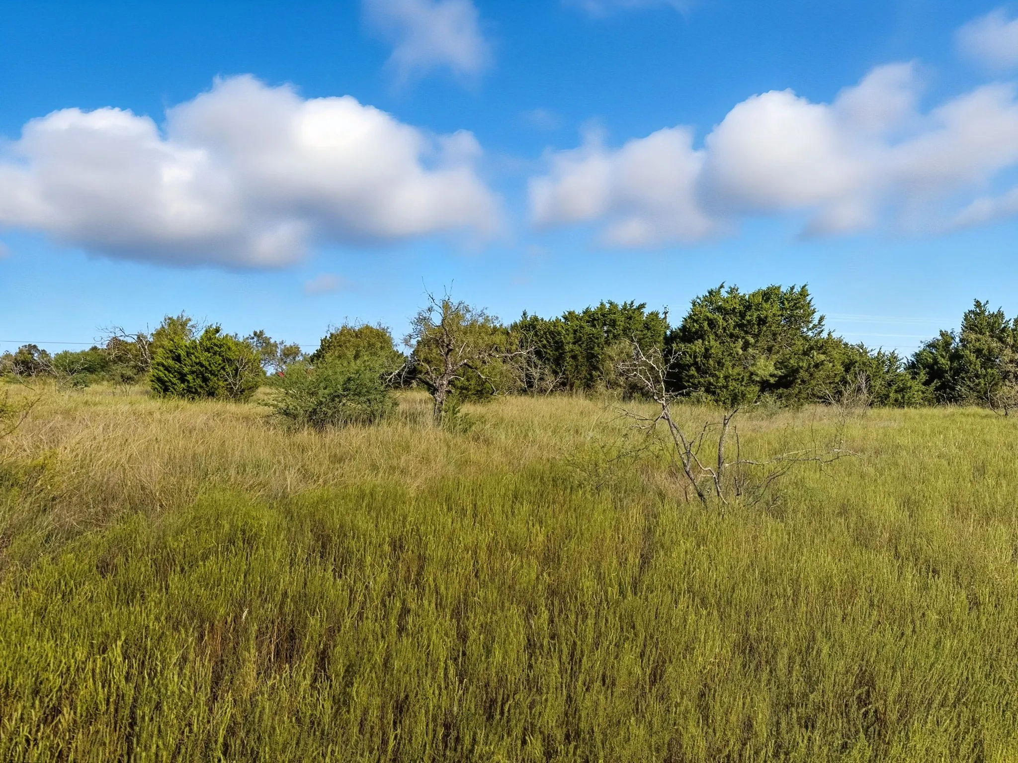 Unimproved Land For Sale in Hamilton County , Lot 24 Ph 4 Pr 42126, Evant, Texas 76566, 0, 0, Garage spaces, 0 Sqft, built in 0, mls#21064754, Real Estate Agent in Evant, Homes For Sale in Hamilton county, Homes For Sale in Evant, Realtor in Evant Texas, Real Estate Brokerage Independent Realty Texas, Luminita Cordes Realtor