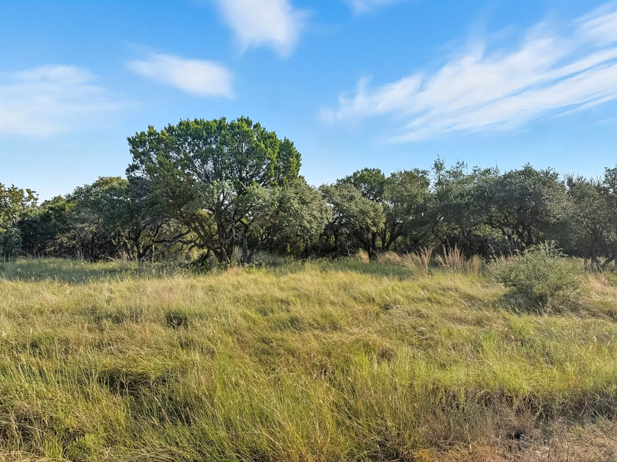 Unimproved Land For Sale in Hamilton County , Lot 24 Ph 4 Pr 42126, Evant, Texas 76566, 0, 0, Garage spaces, 0 Sqft, built in 0, mls#21064754, Real Estate Agent in Evant, Homes For Sale in Hamilton county, Homes For Sale in Evant, Realtor in Evant Texas, Real Estate Brokerage Independent Realty Texas, Luminita Cordes Realtor