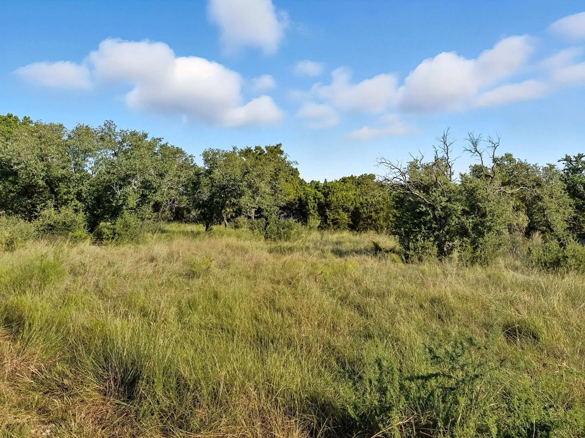 Unimproved Land For Sale in Hamilton County , Lot 24 Ph 4 Pr 42126, Evant, Texas 76566, 0, 0, Garage spaces, 0 Sqft, built in 0, mls#21064754, Real Estate Agent in Evant, Homes For Sale in Hamilton county, Homes For Sale in Evant, Realtor in Evant Texas, Real Estate Brokerage Independent Realty Texas, Luminita Cordes Realtor