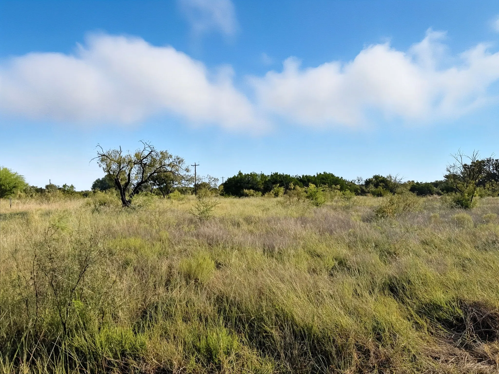 Unimproved Land For Sale in Hamilton County , Lot 24 Ph 4 Pr 42126, Evant, Texas 76566, 0, 0, Garage spaces, 0 Sqft, built in 0, mls#21064754, Real Estate Agent in Evant, Homes For Sale in Hamilton county, Homes For Sale in Evant, Realtor in Evant Texas, Real Estate Brokerage Independent Realty Texas, Luminita Cordes Realtor