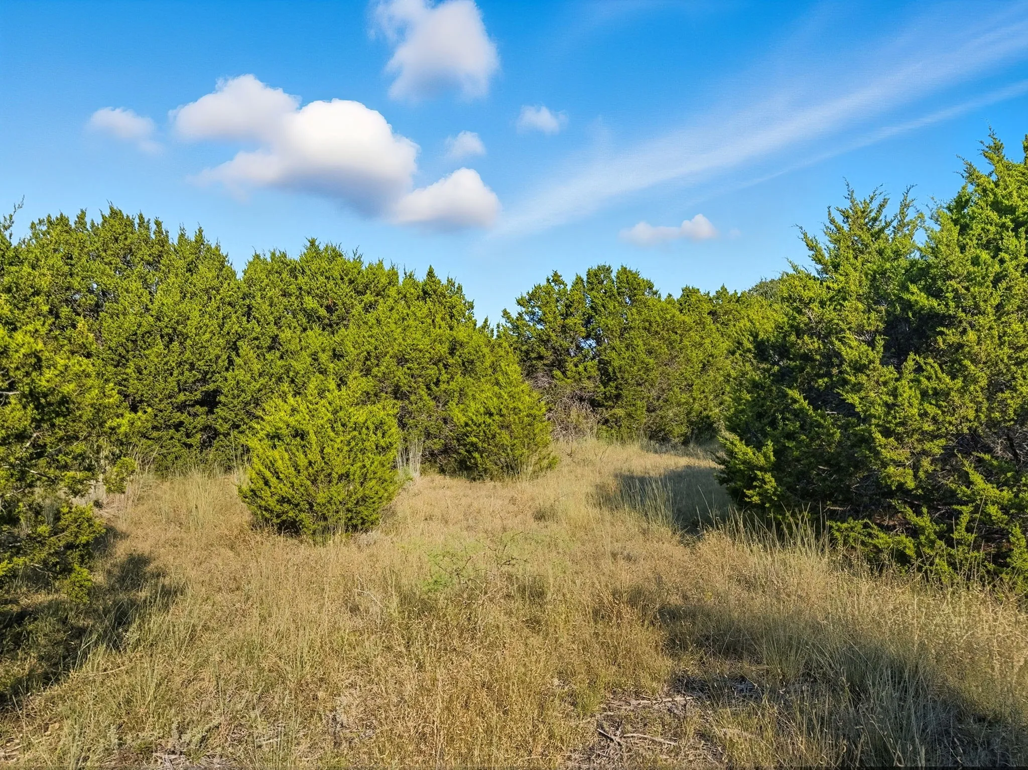 Unimproved Land For Sale in Hamilton County , Lot 24 Ph 4 Pr 42126, Evant, Texas 76566, 0, 0, Garage spaces, 0 Sqft, built in 0, mls#21064754, Real Estate Agent in Evant, Homes For Sale in Hamilton county, Homes For Sale in Evant, Realtor in Evant Texas, Real Estate Brokerage Independent Realty Texas, Luminita Cordes Realtor