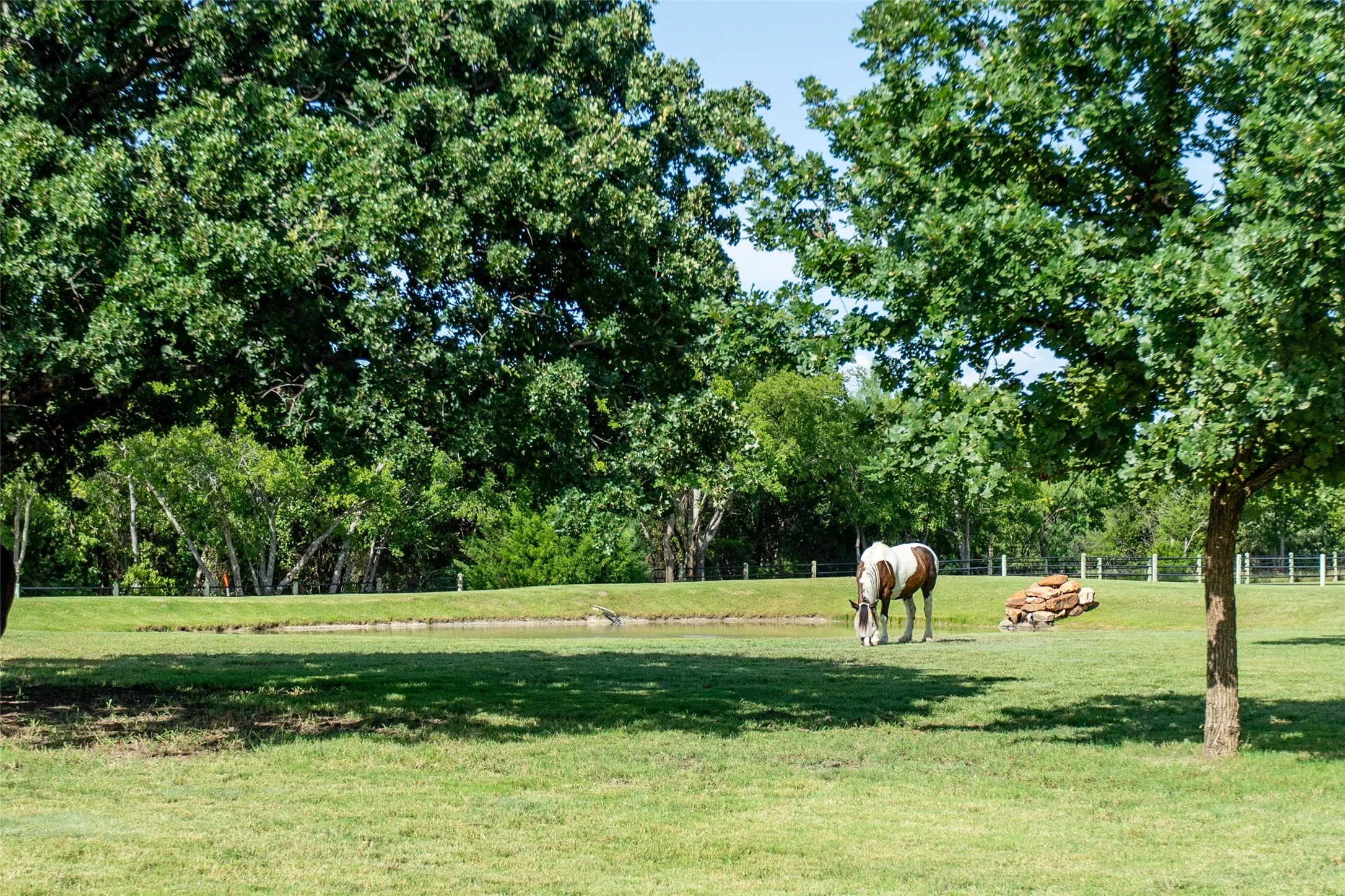 Stunning hardwood trees sprinkled throughout the
property.